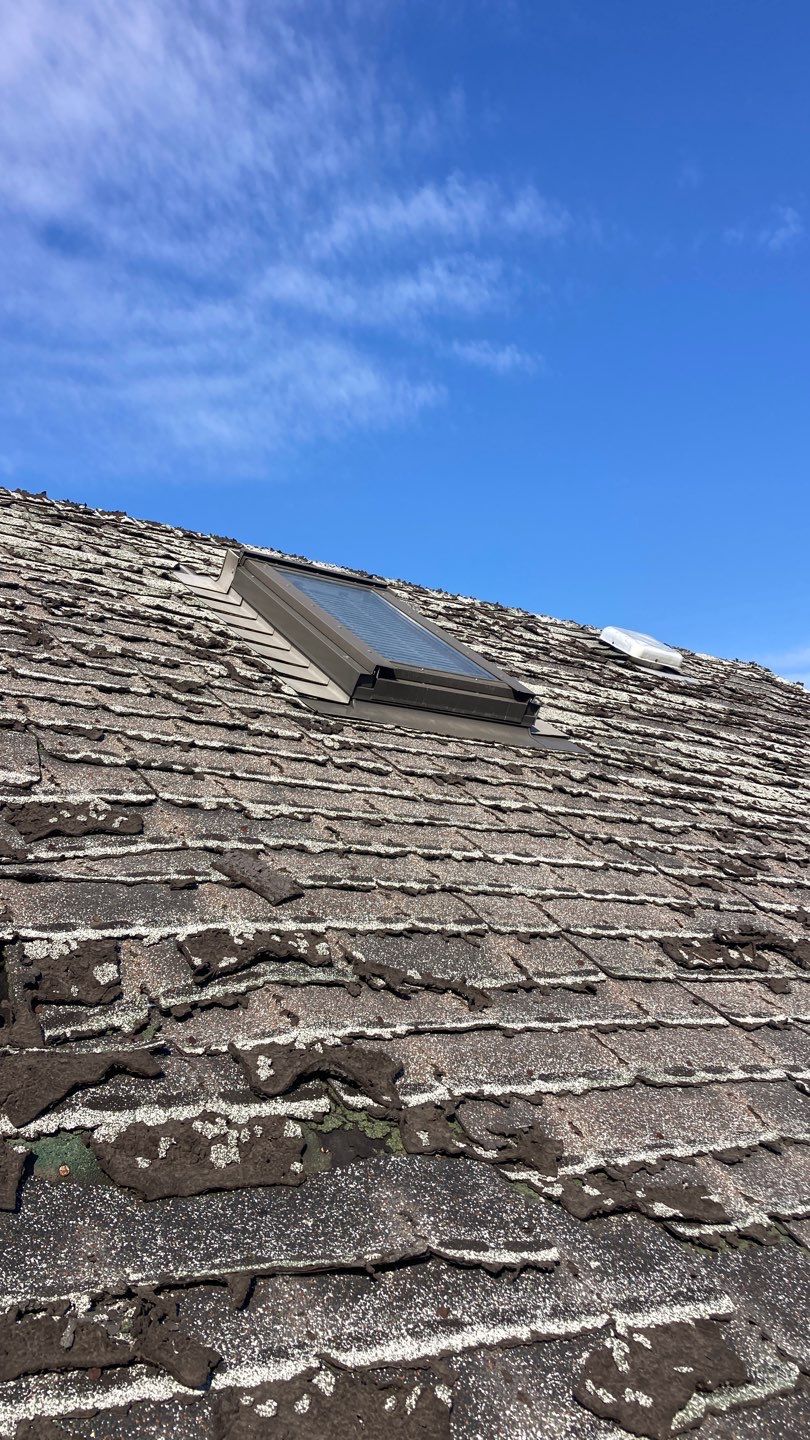 Comprehensive Roof Tear-Off and Exterior Door Installation in Berwyn by Mr Roof & Remodeling Co