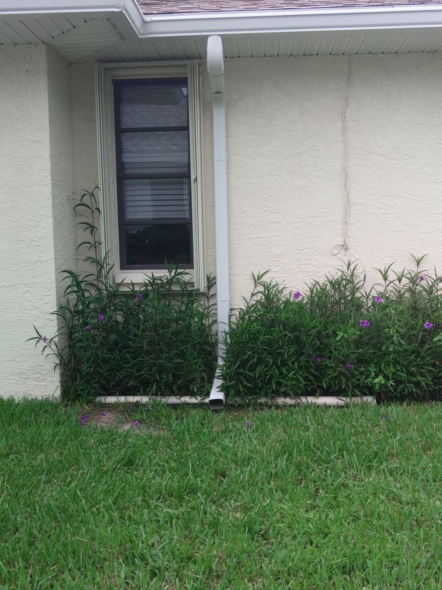 Premium Gutter Cleaning Service in Cape Coral FL by Gutter Professors