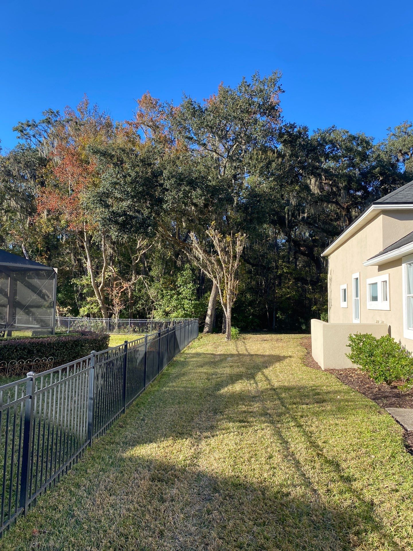Residential | Tree Service by ProGreen Services
