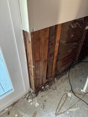 Mold Remediation — Bonita Springs, FL