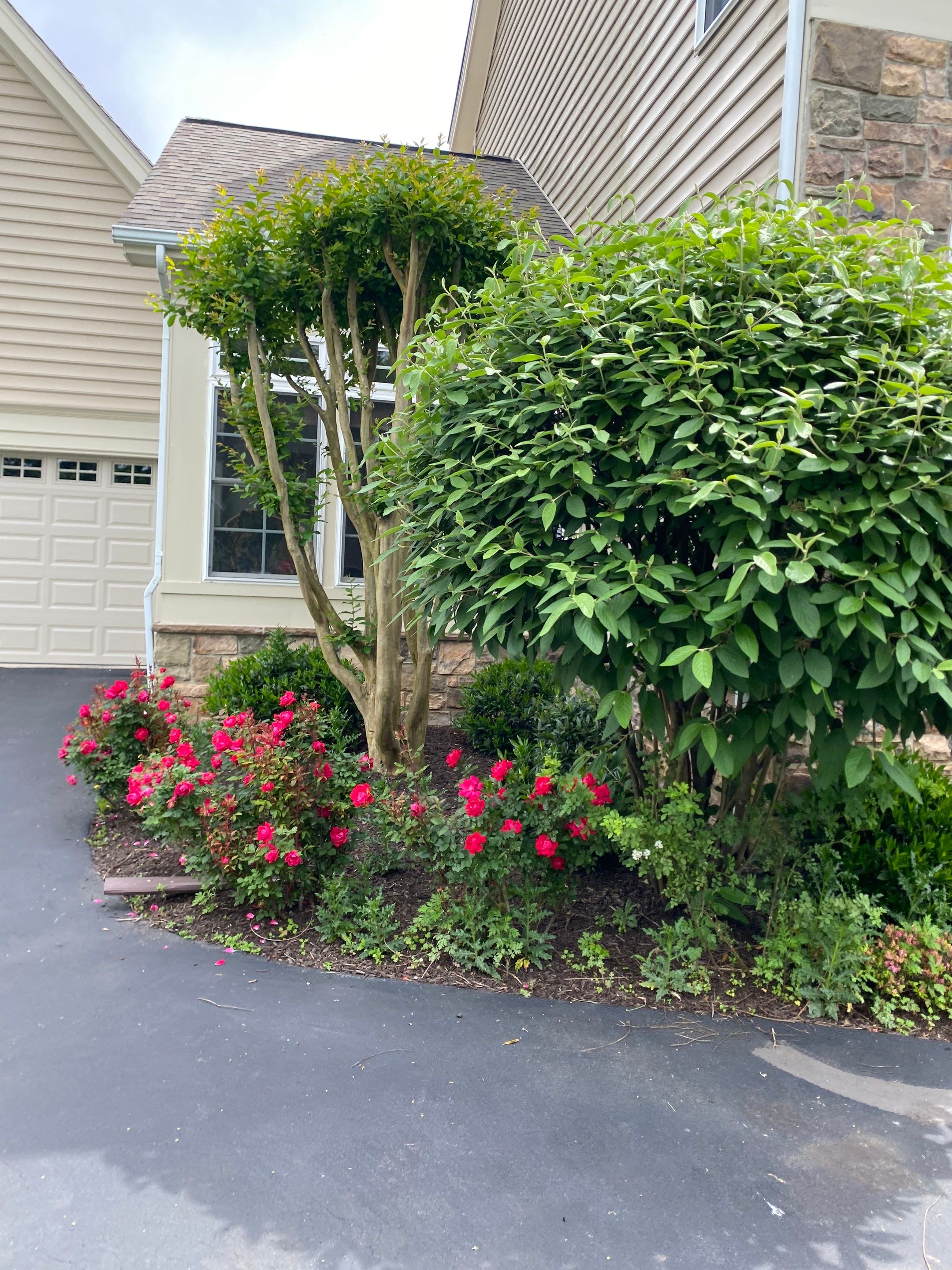 Landscape Cleanup & Mulch  by The Smet Companies, LLC