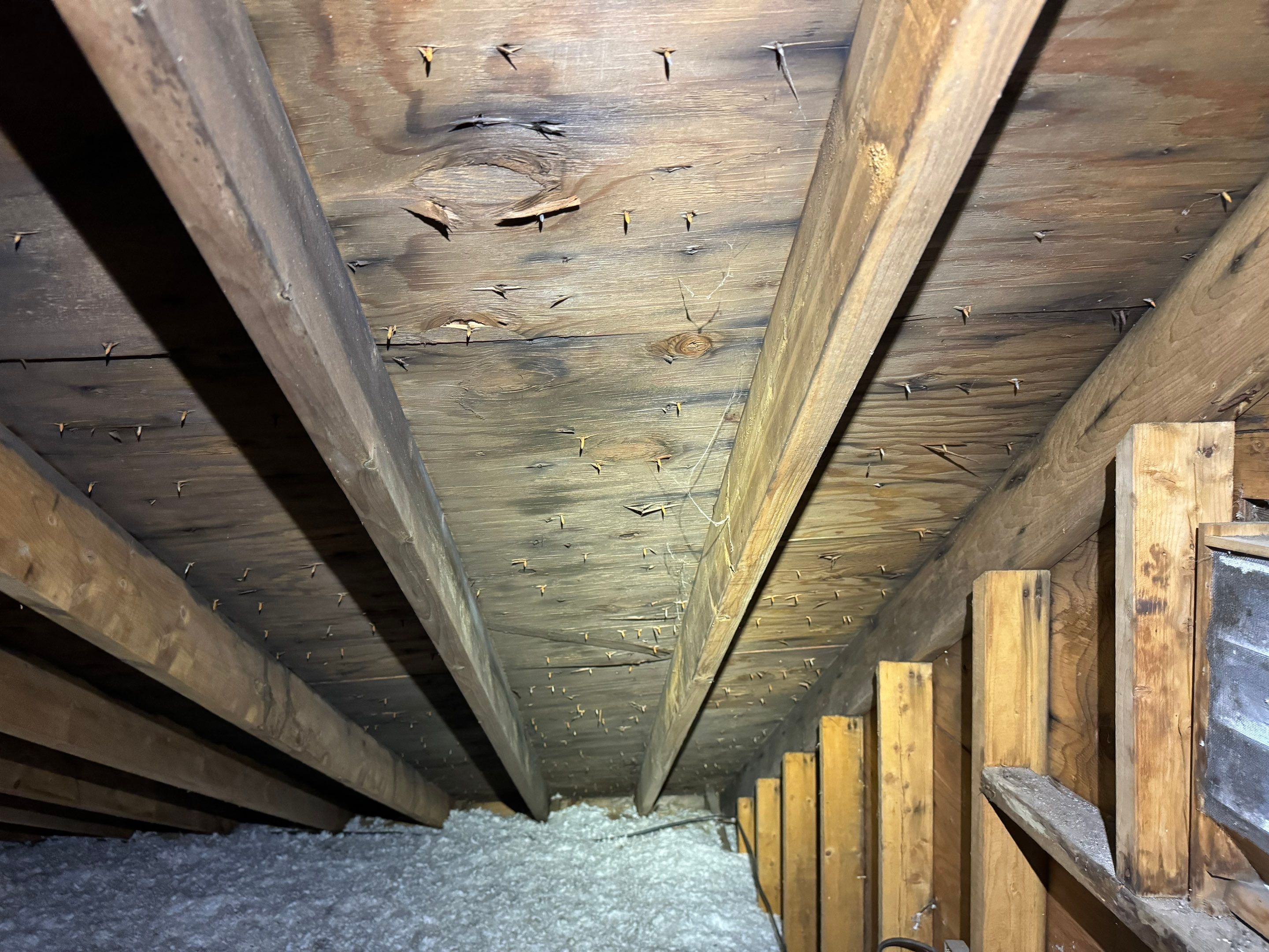 Attic Mold Remediation by Home Guarantee, LLC