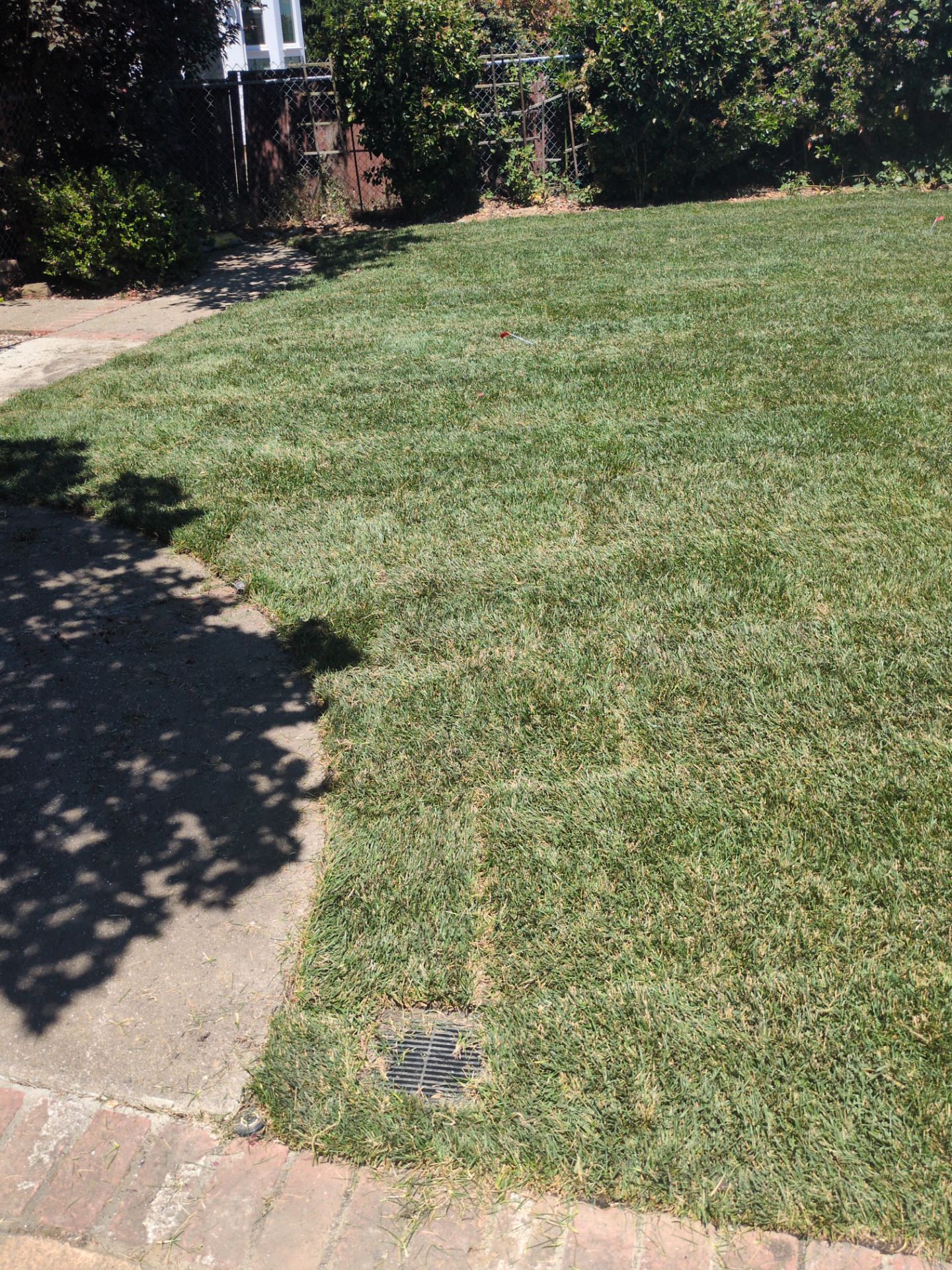 Project in Vallejo by A - G Sod Farms