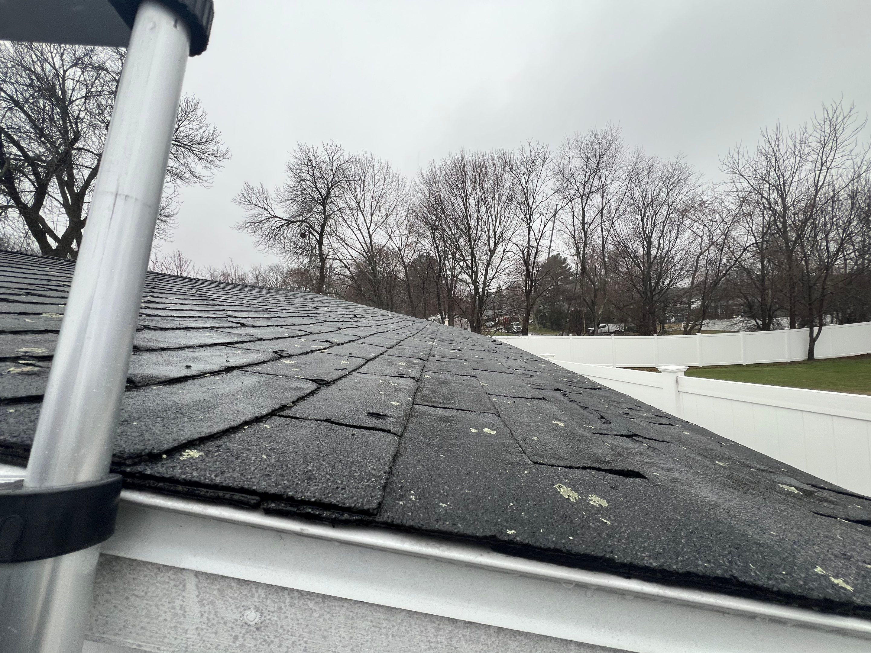 Roofing | Chelmsford by Mighty Dog Roofing of Greater Middlesex County