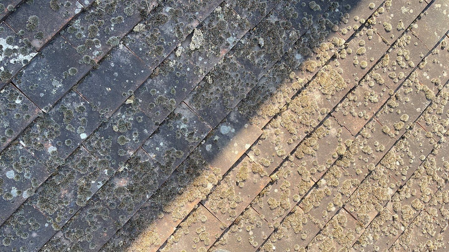 Roof Clean  - Moss Removal - Gutter Clean using Honda 15lpm Low Pressure Washing Machine by Ges Exterior Cleaning ltd