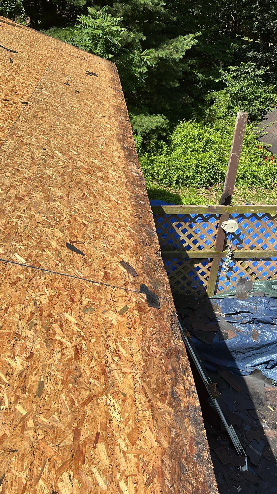 Roof Replacement - Landmark PRO Red Oak by Winchester Roofing