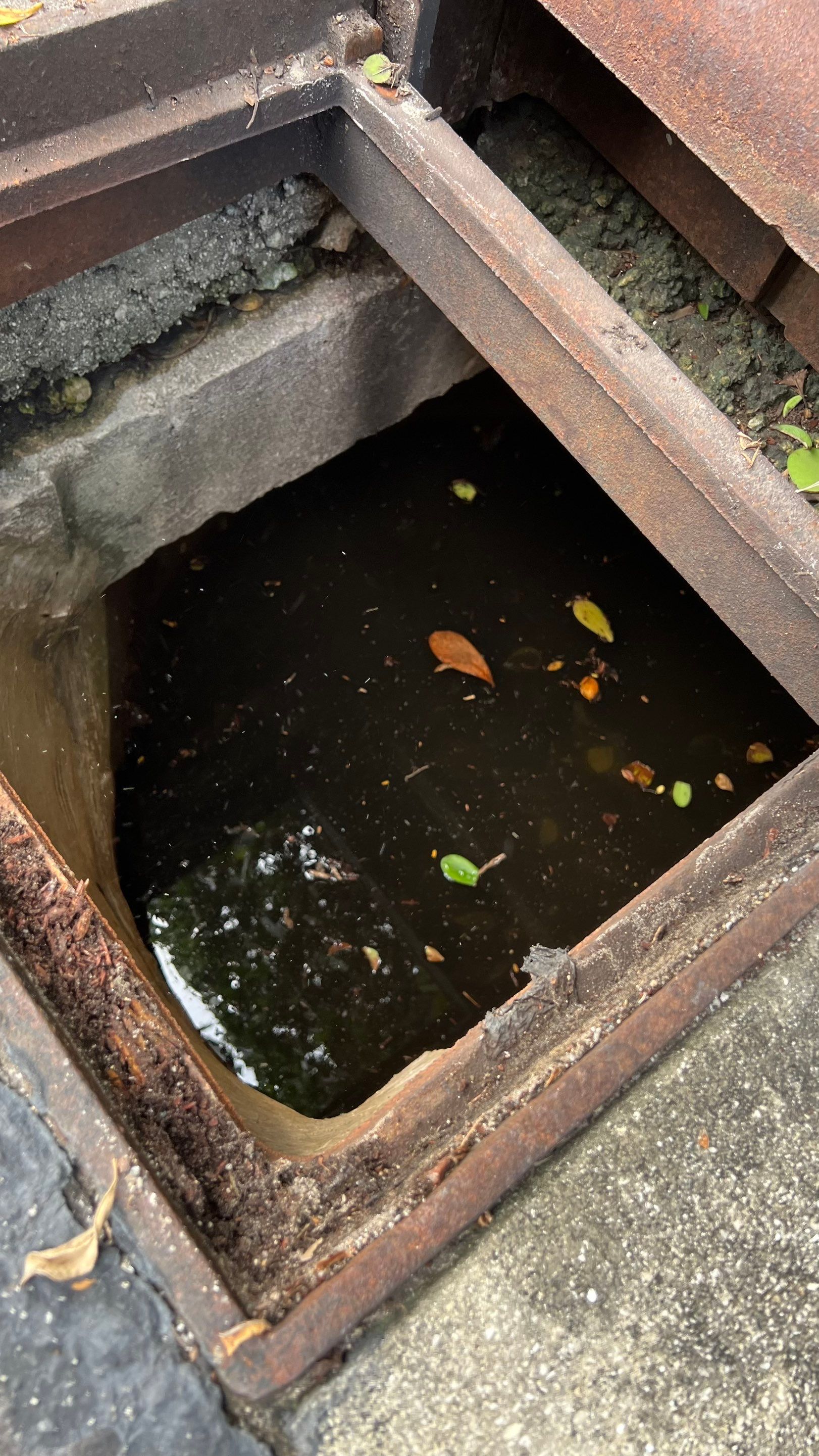 Condo Storm Water System Maintenance by APS Power & Water