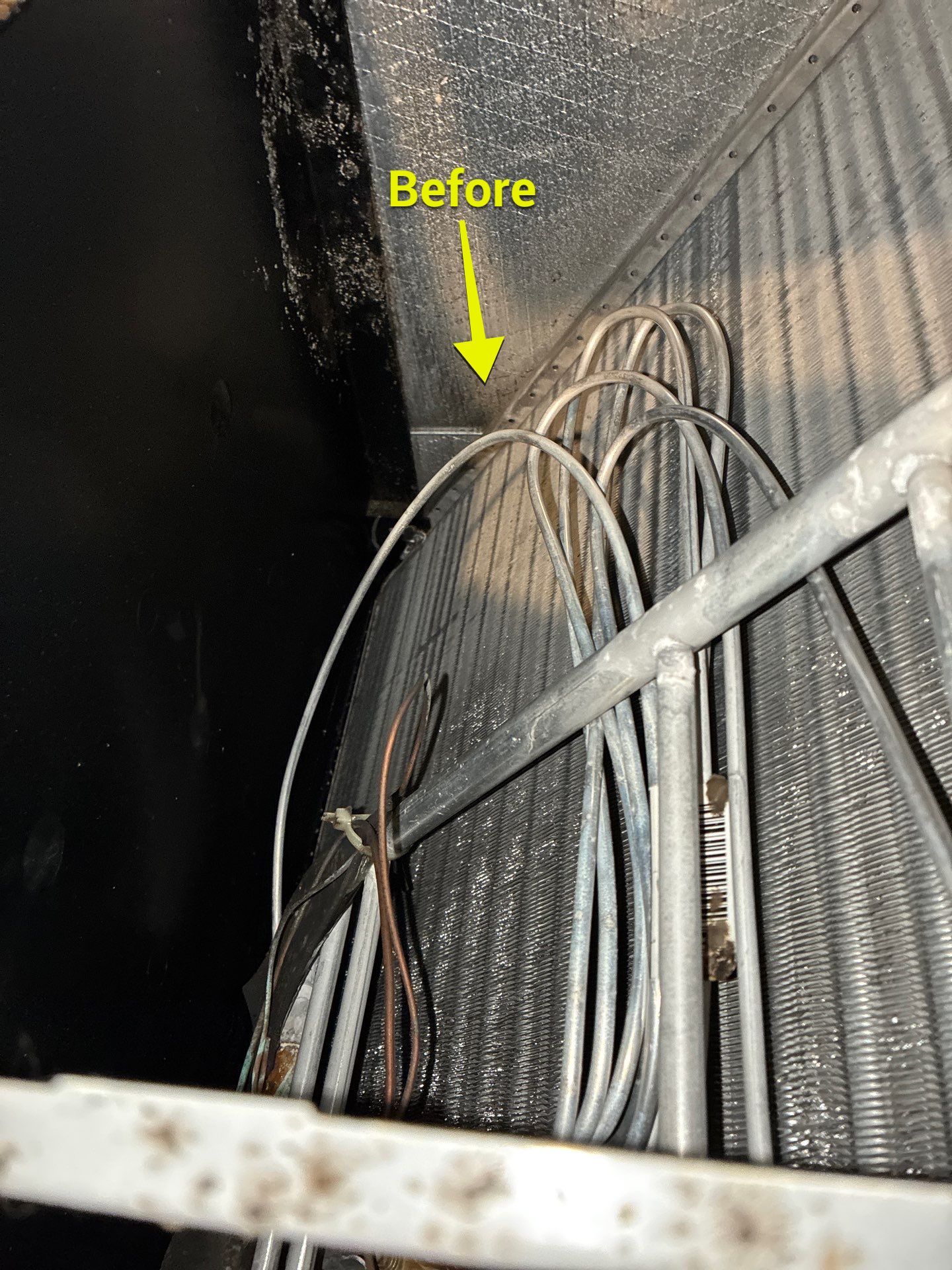 Air Duct Cleaning in Groveland by Hygienic Air, Inc