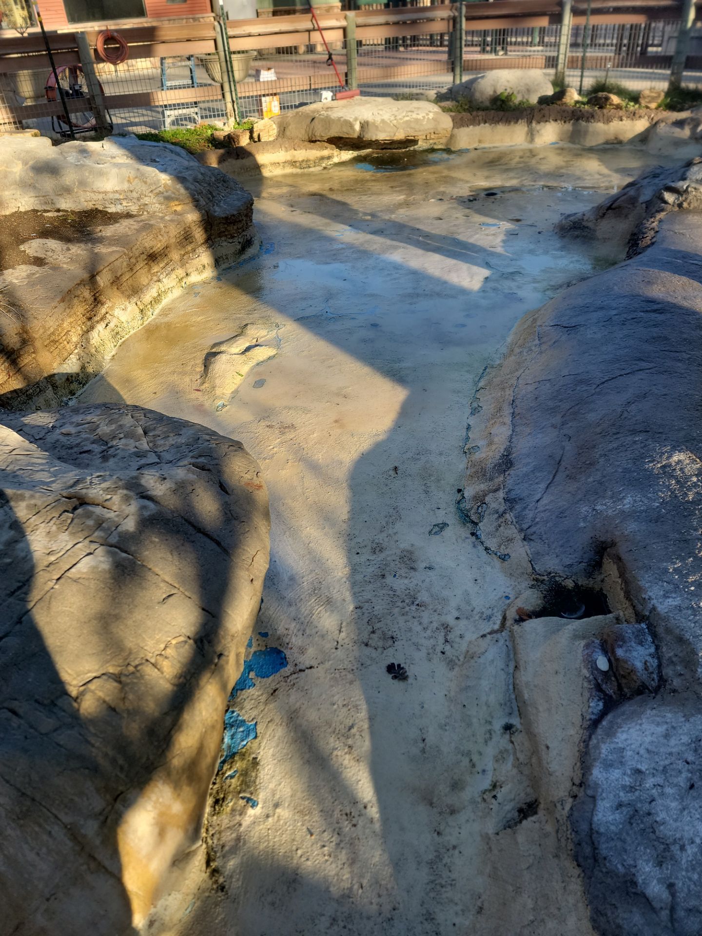 Charles Paddock Zoo Flamingo Pond by MGP Coatings