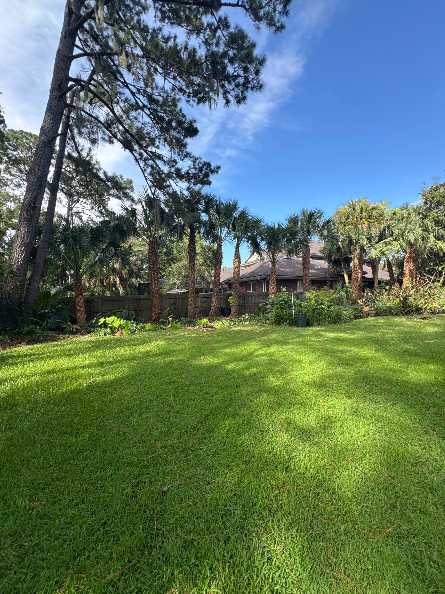 Deerwood Resident | Palm Tree Trimming & Booting by ProGreen Services