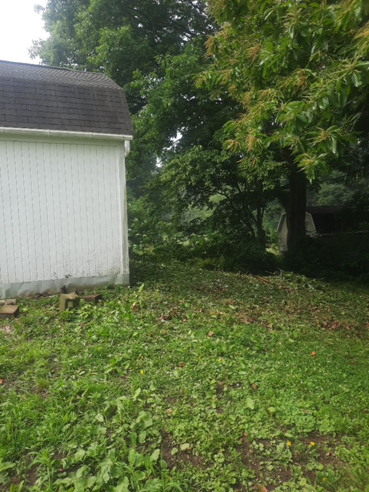 Tree Removal using Tree Removal by Mike Jones & Sons Tree Service LLC 