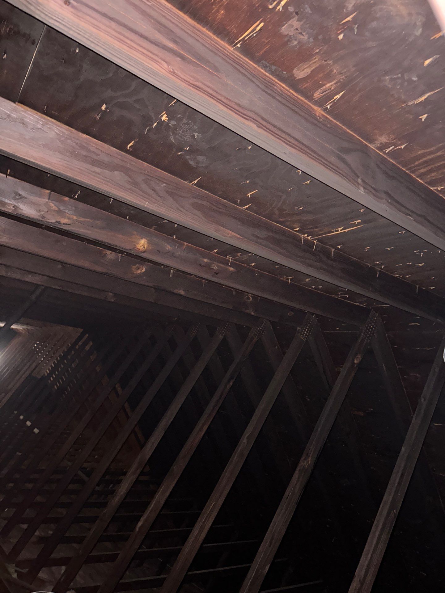 Commercial Roofing Installation using Performance Shingles by Mr. Roofer