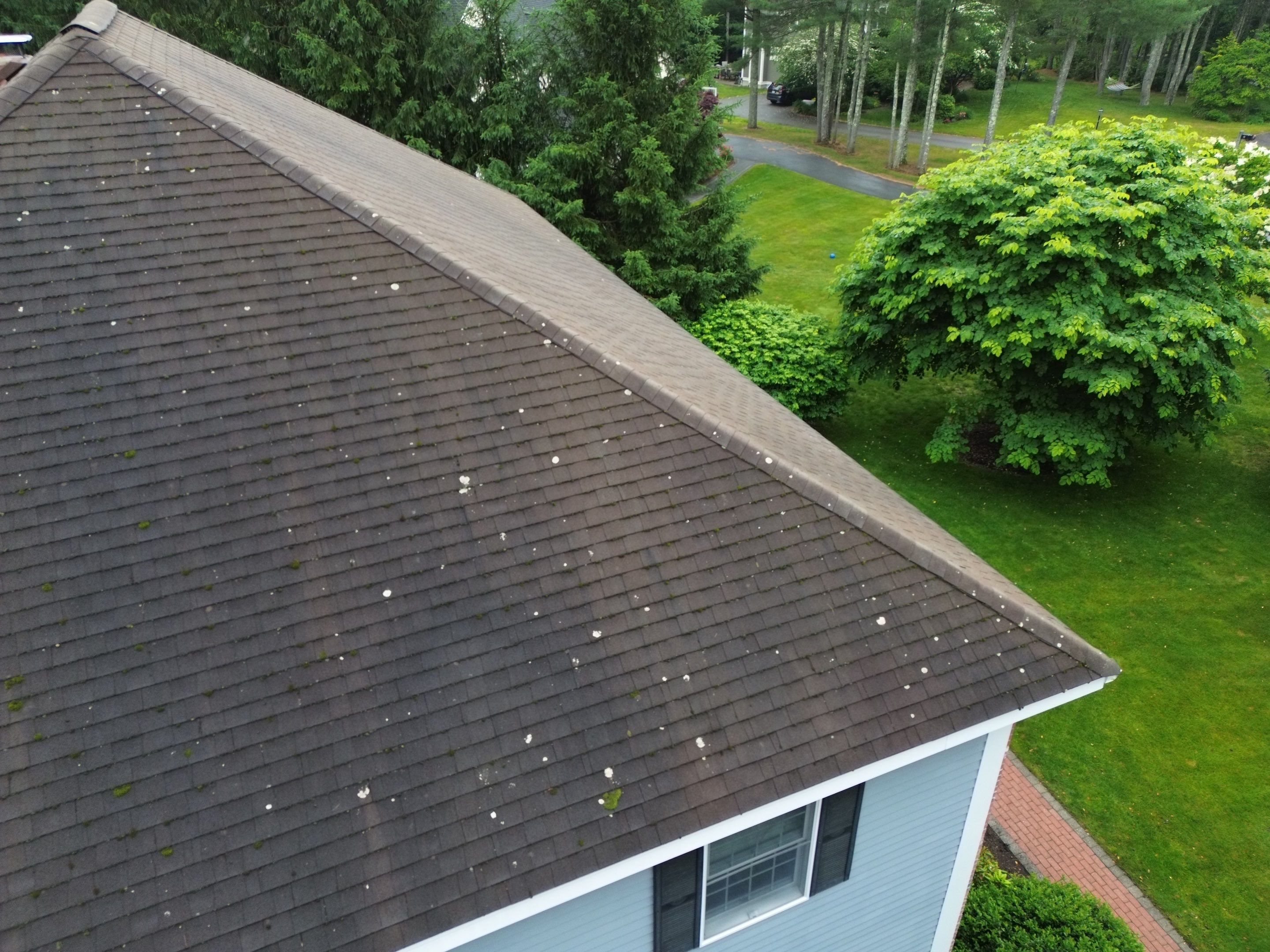 Roof Replacement & Gutter System Upgrade in Westford, MA by Mighty Dog Roofing of Greater Middlesex County