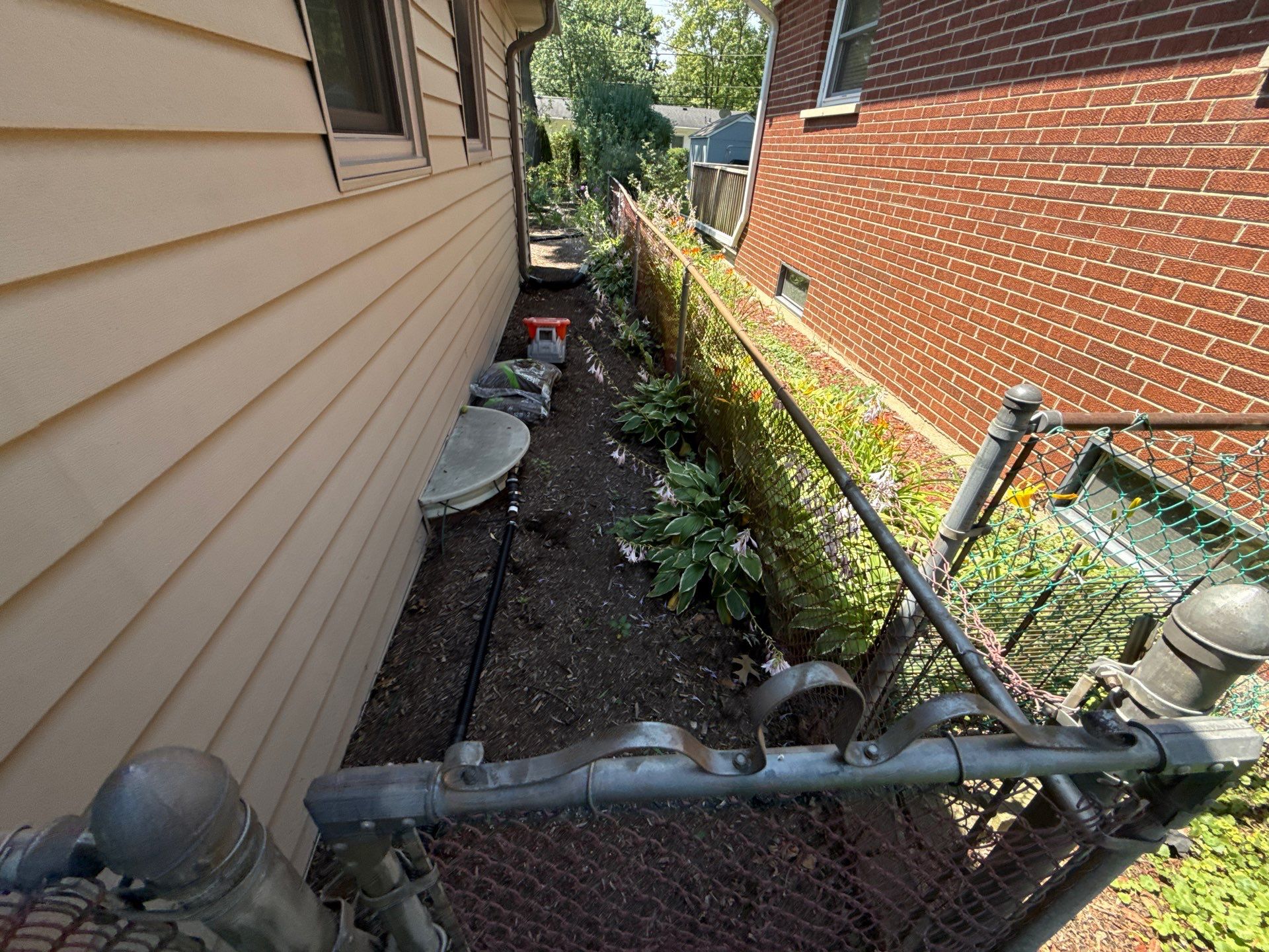Gina K. - Mount Prospect, IL by A&N 