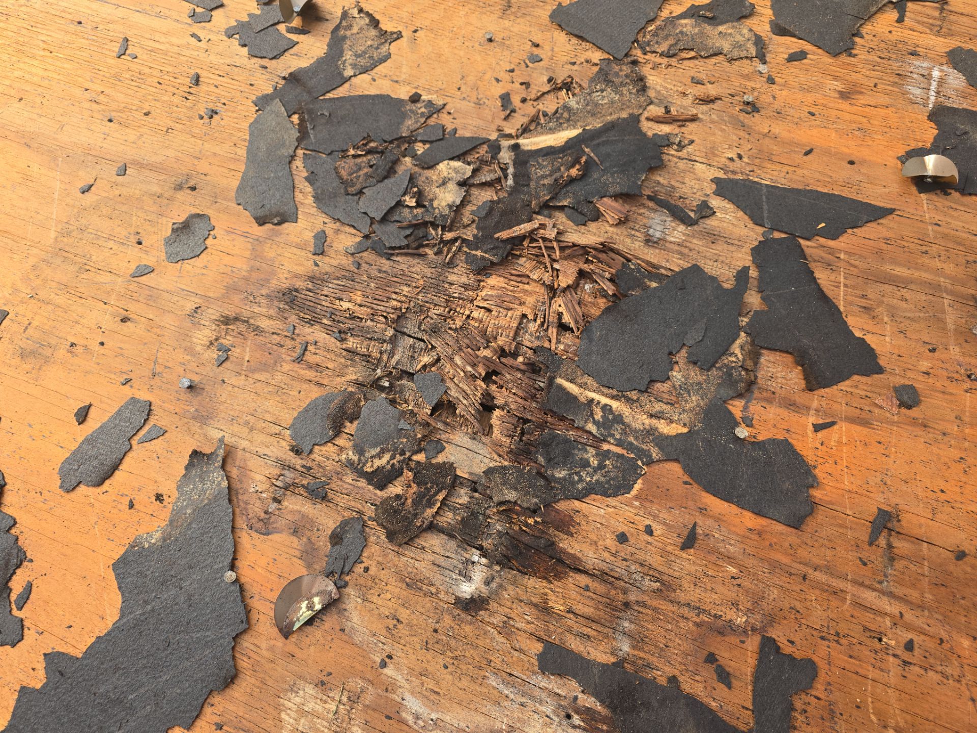 Roof Replacement Pasadena by Roof Repair Company
