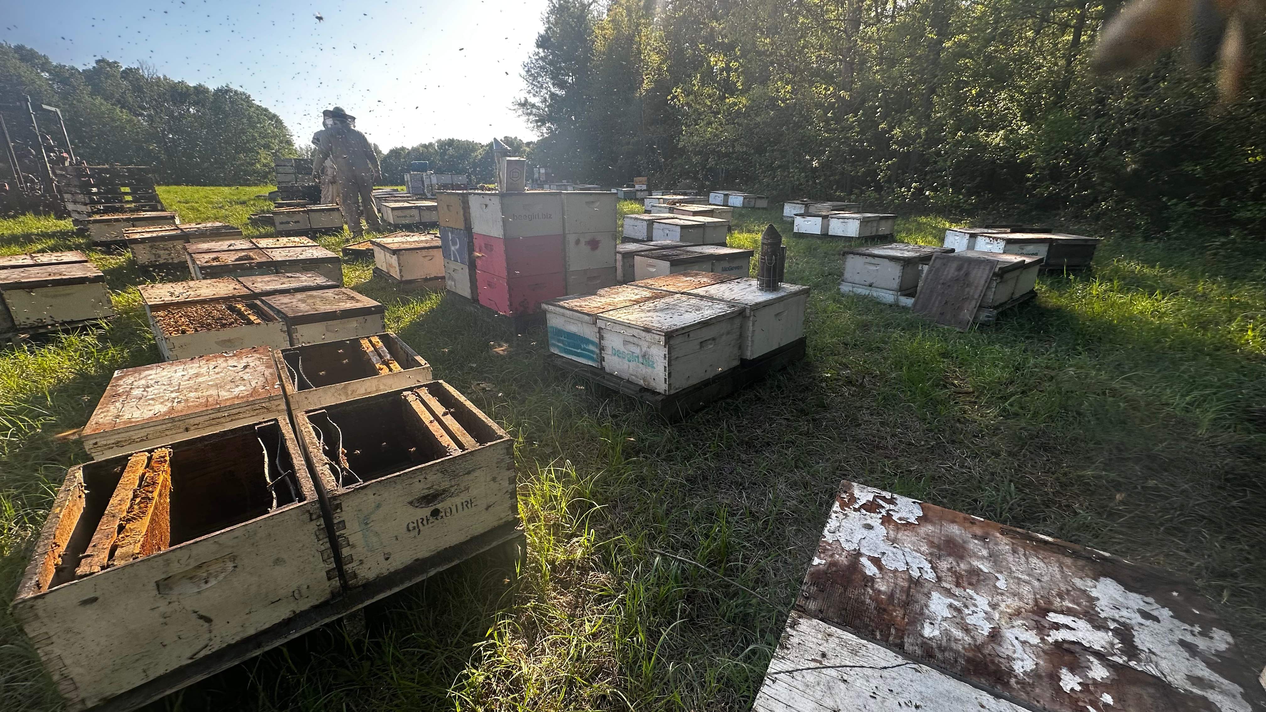 Traylor's Hay Meadow Apiary by Rockwall Honey Bee Company