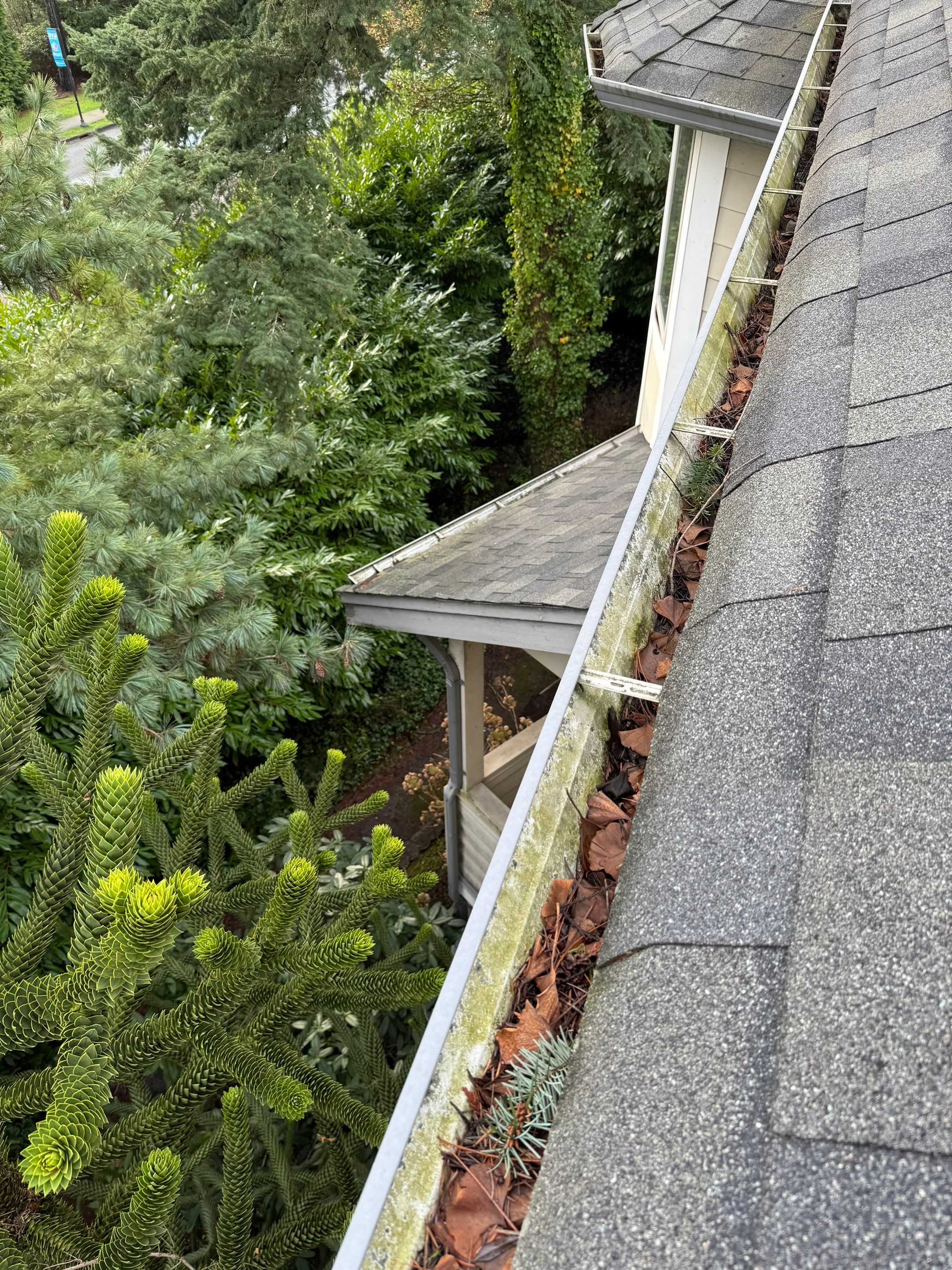 Gutter Cleaning by YVR Construction Group
