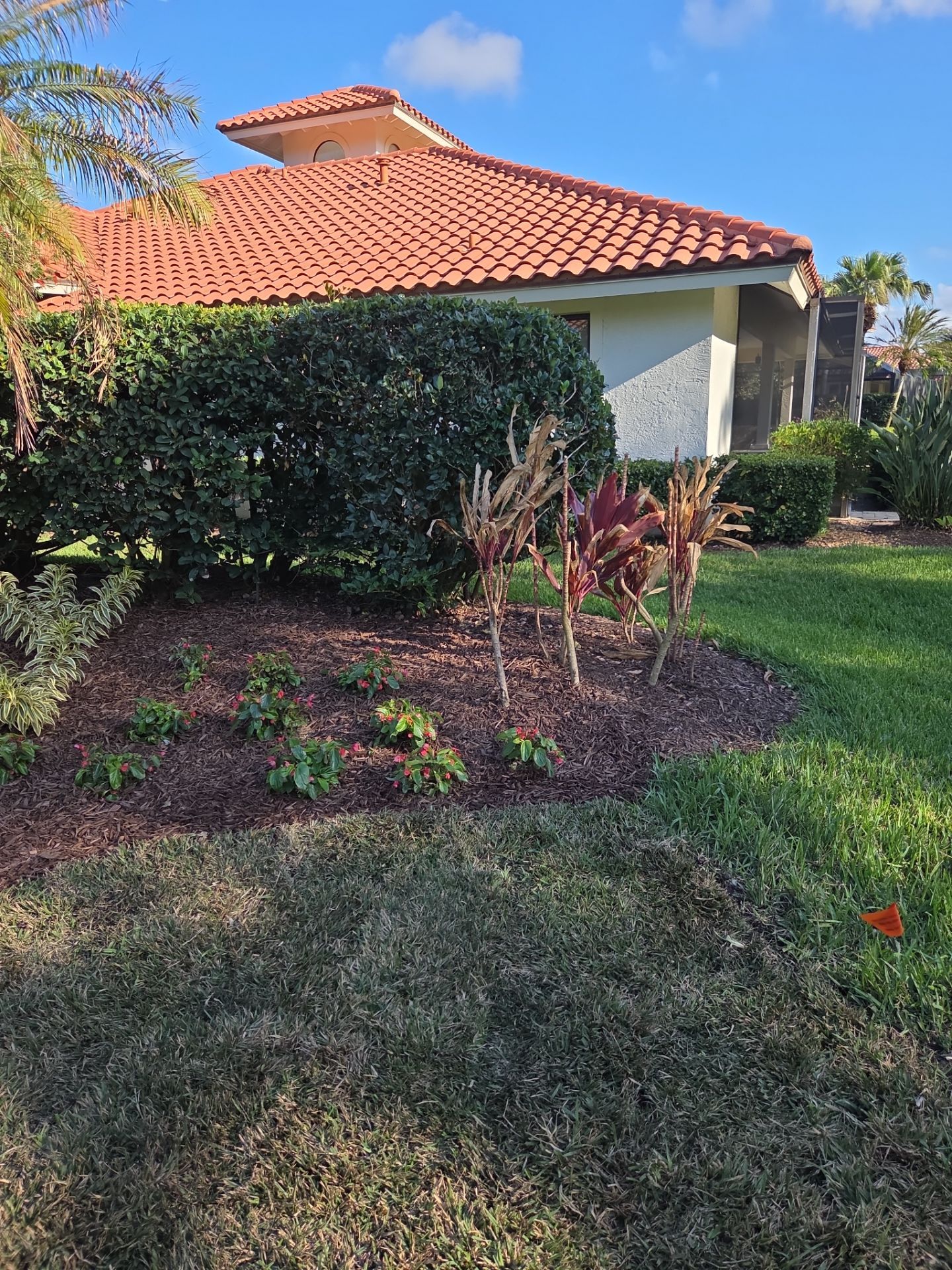 Harbour Ridge Backyard Revival by Alpha Zeta Enterprises Inc