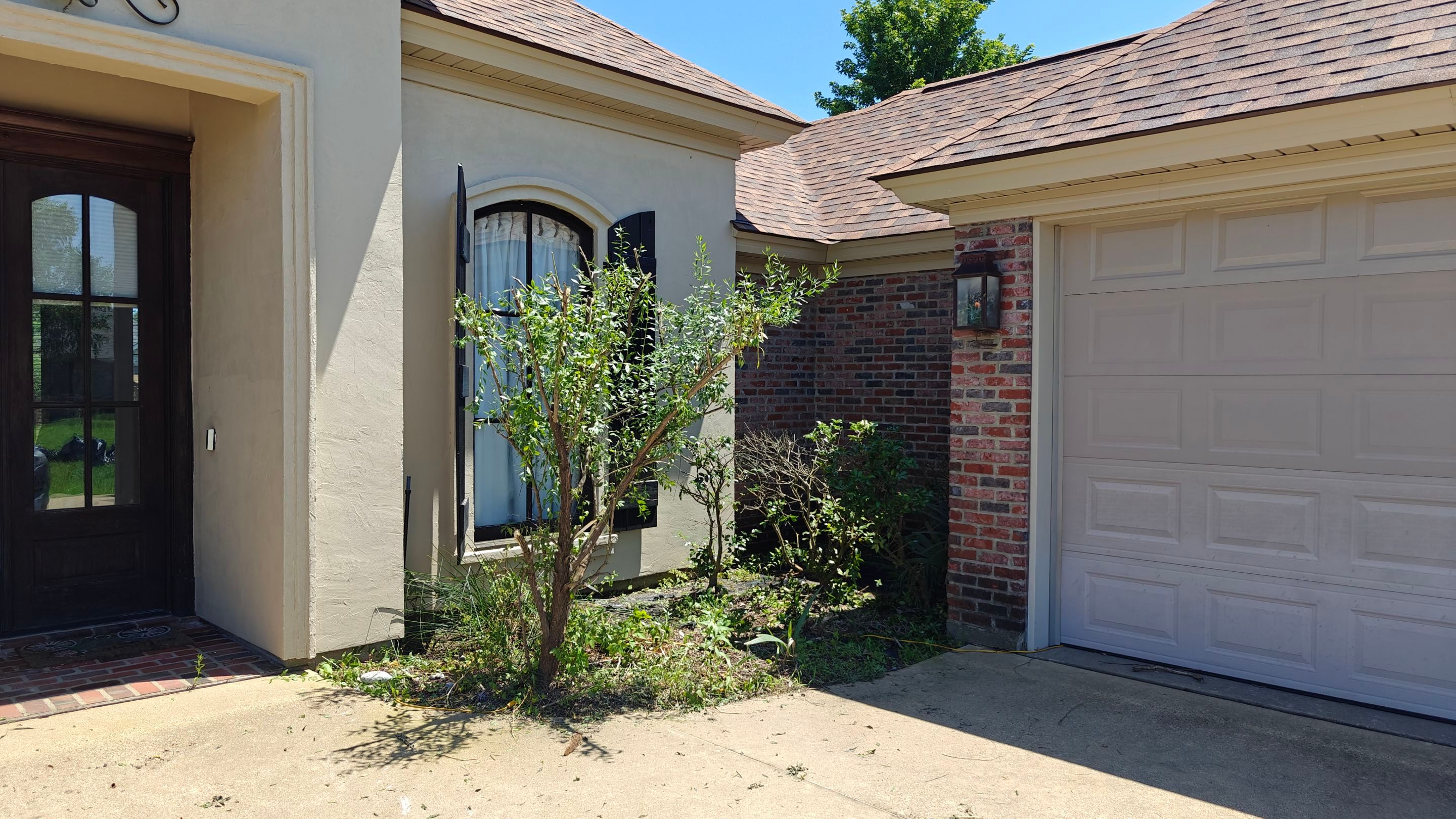 Hedge Trimming and Removal by College Bros Outdoor services