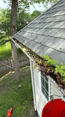 Latest photograph of the Turtle Shell installation in Warrenville, IL 60555