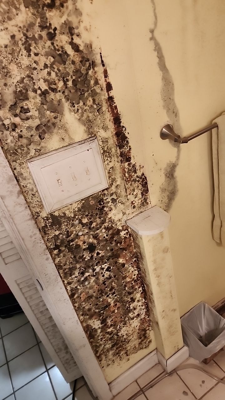 Damage caused from leaking water hea  er by Building performance Solutions LLC