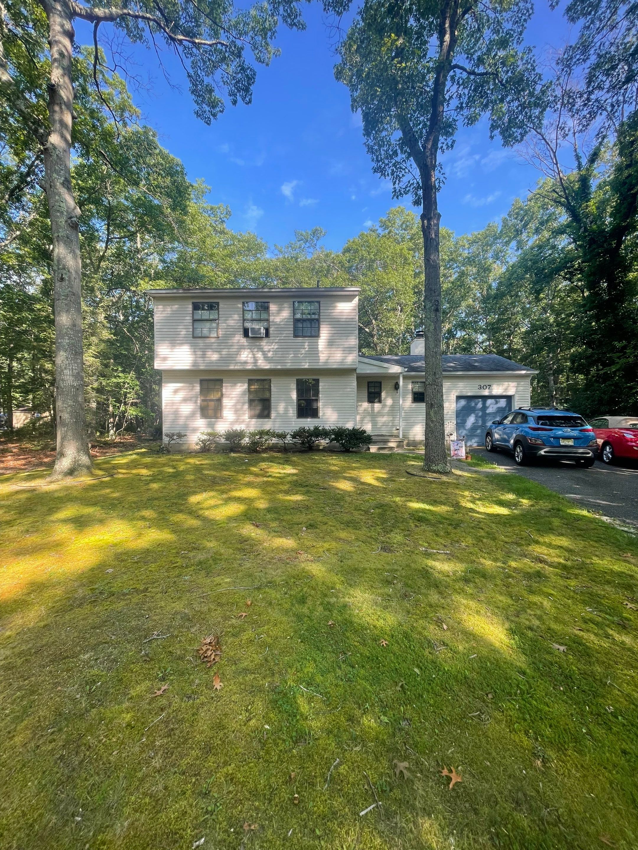 Residential Cleaning using Carbon Fiber Polls & Blower by SJ Exterior