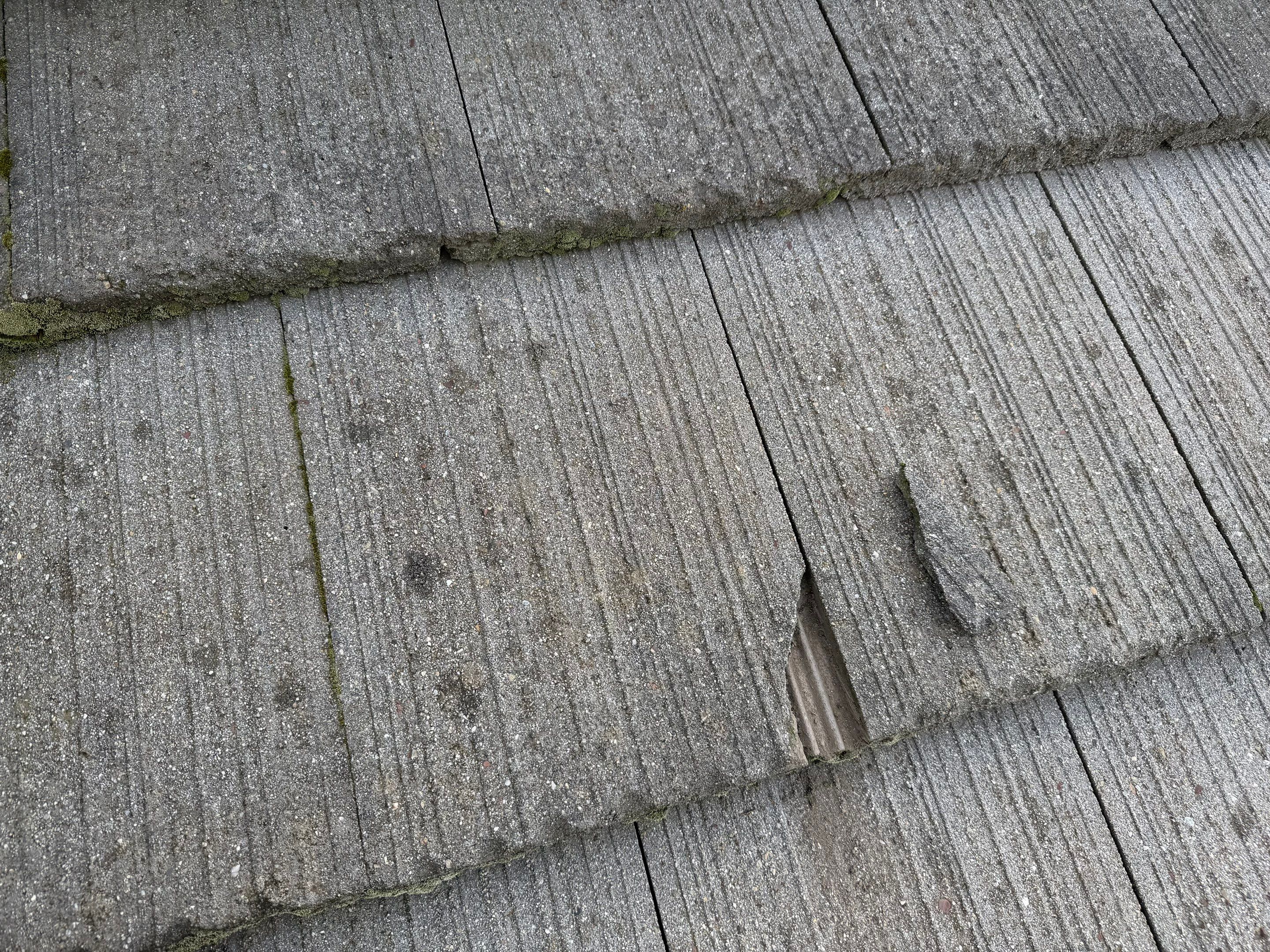 Project in Elk Grove  by NuLead Construction Inc