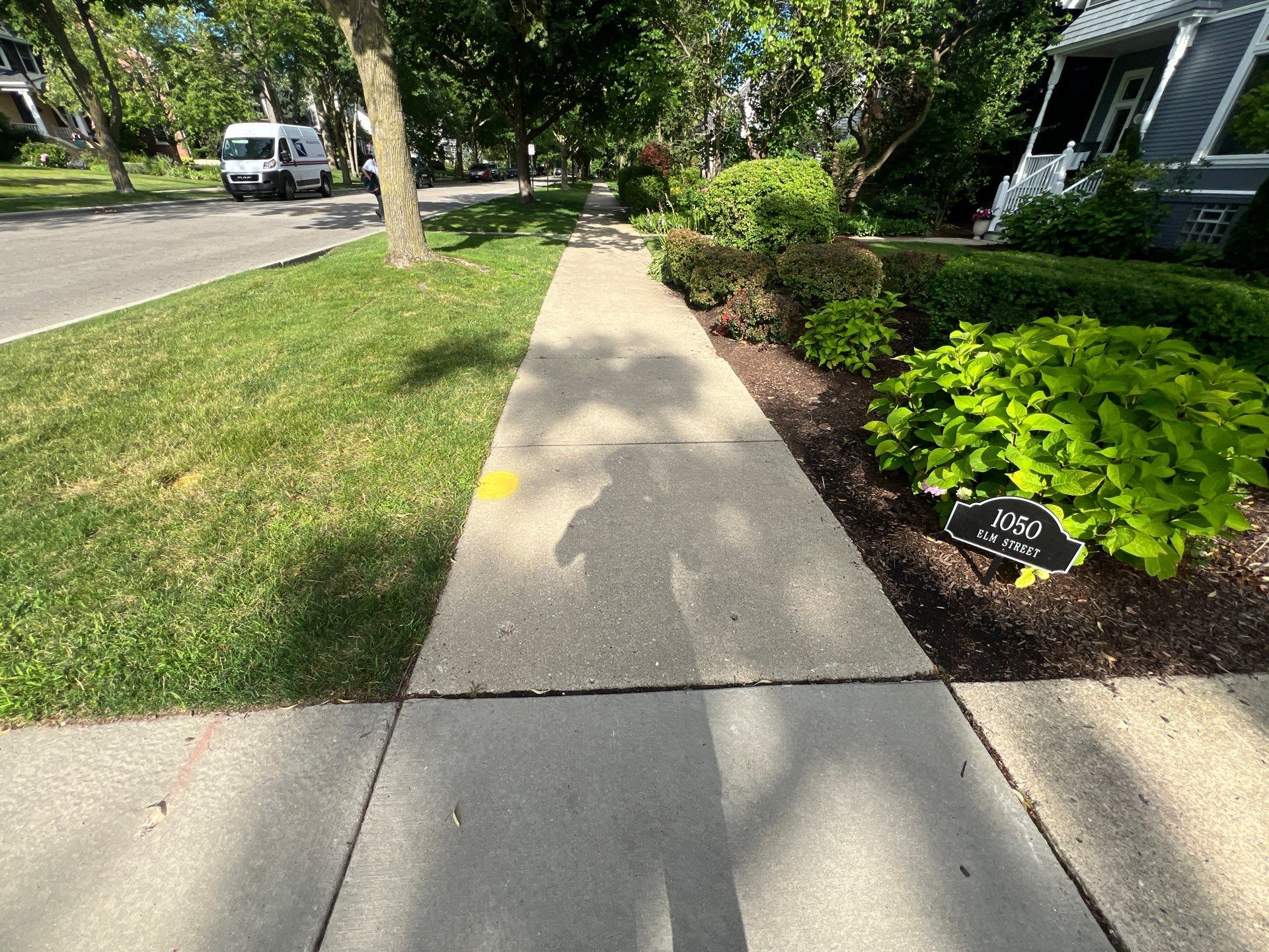 concrete cleaning using Algaecide, soft wash soap by Northern Power Washing LLC.