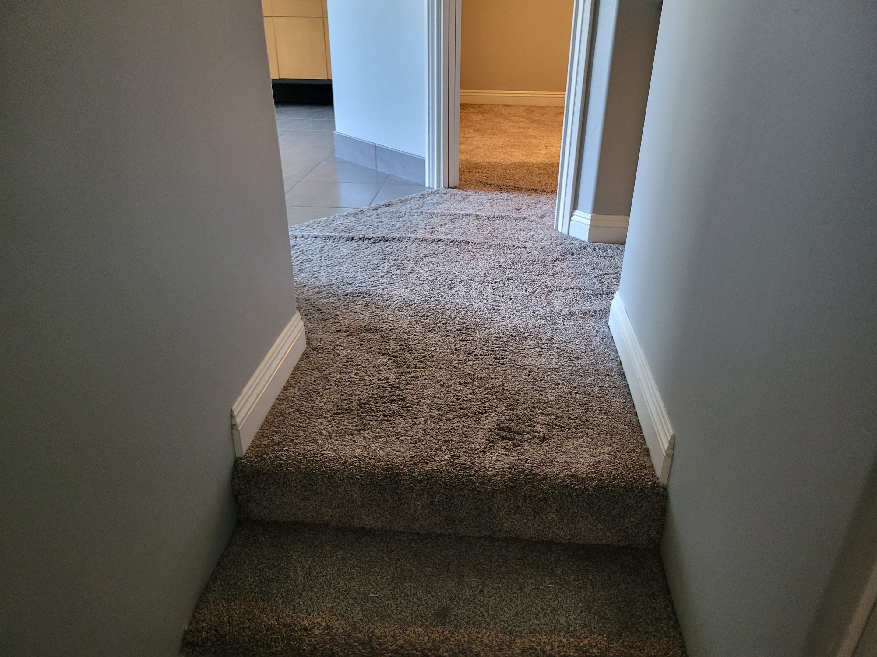 Carpet Re-stretch & Cleaning for House Listing by Ardent Carpet Restore LLC