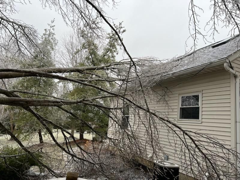 Tree Removal using Tree Removal by Mike Jones & Sons Tree Service LLC 