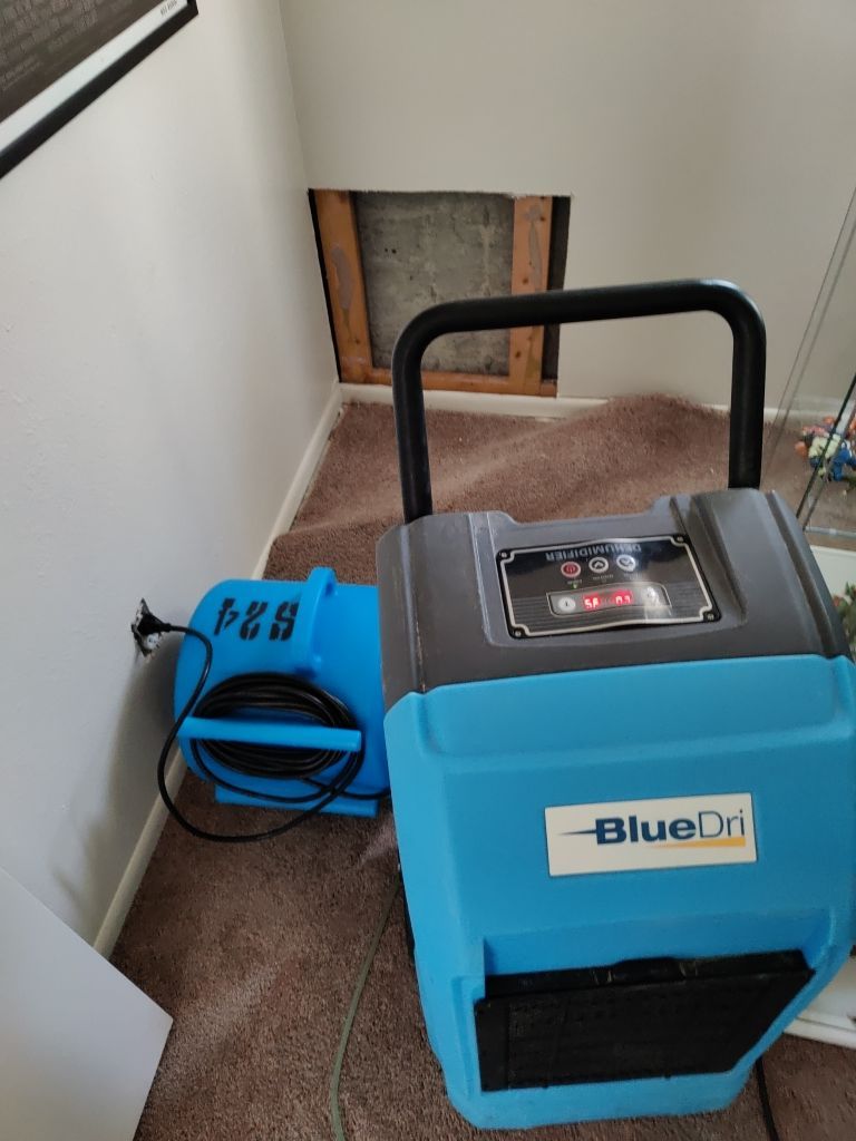 Water Damage  by Accountable Home Services