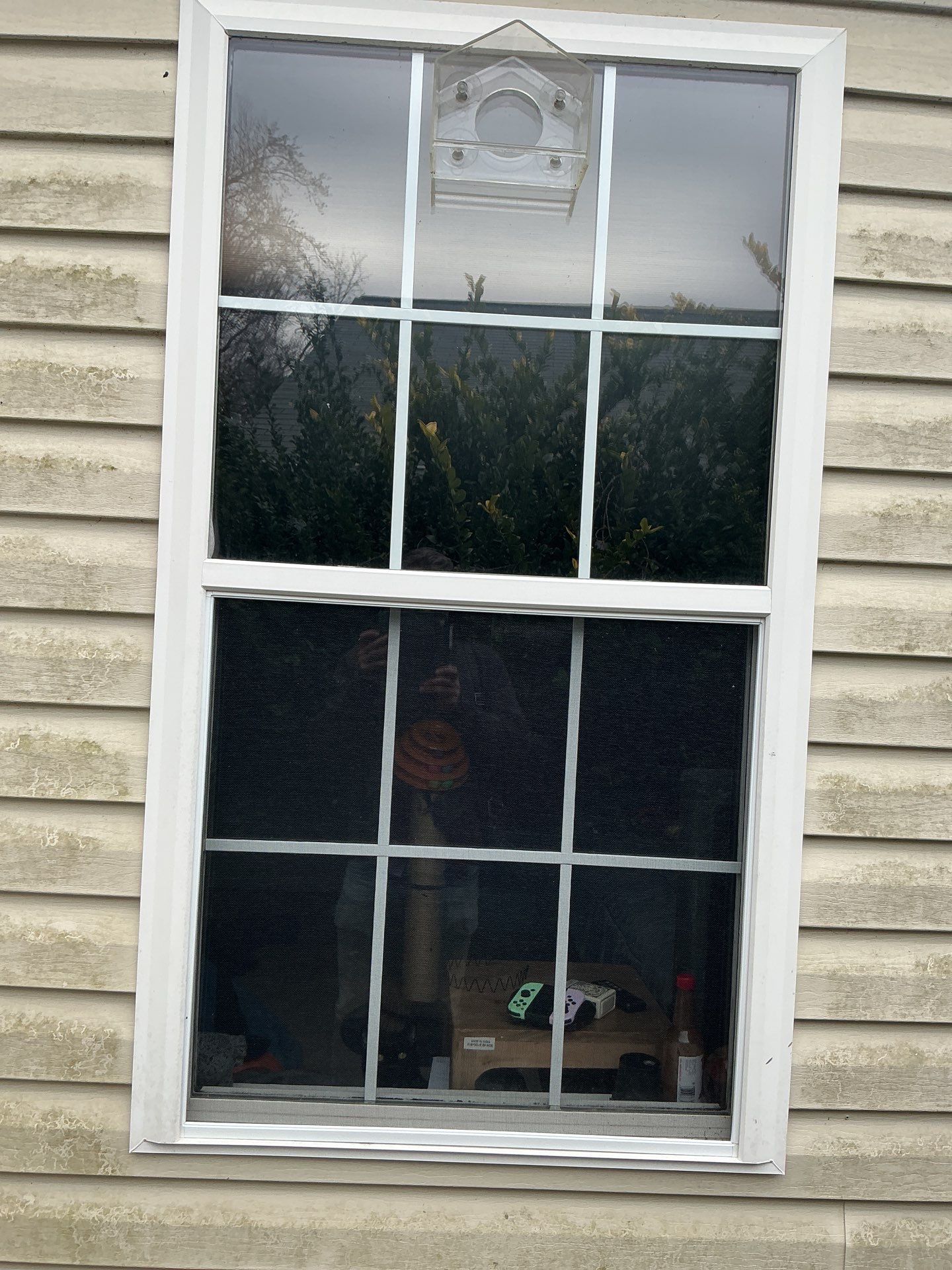 Project in Apex by Window Works