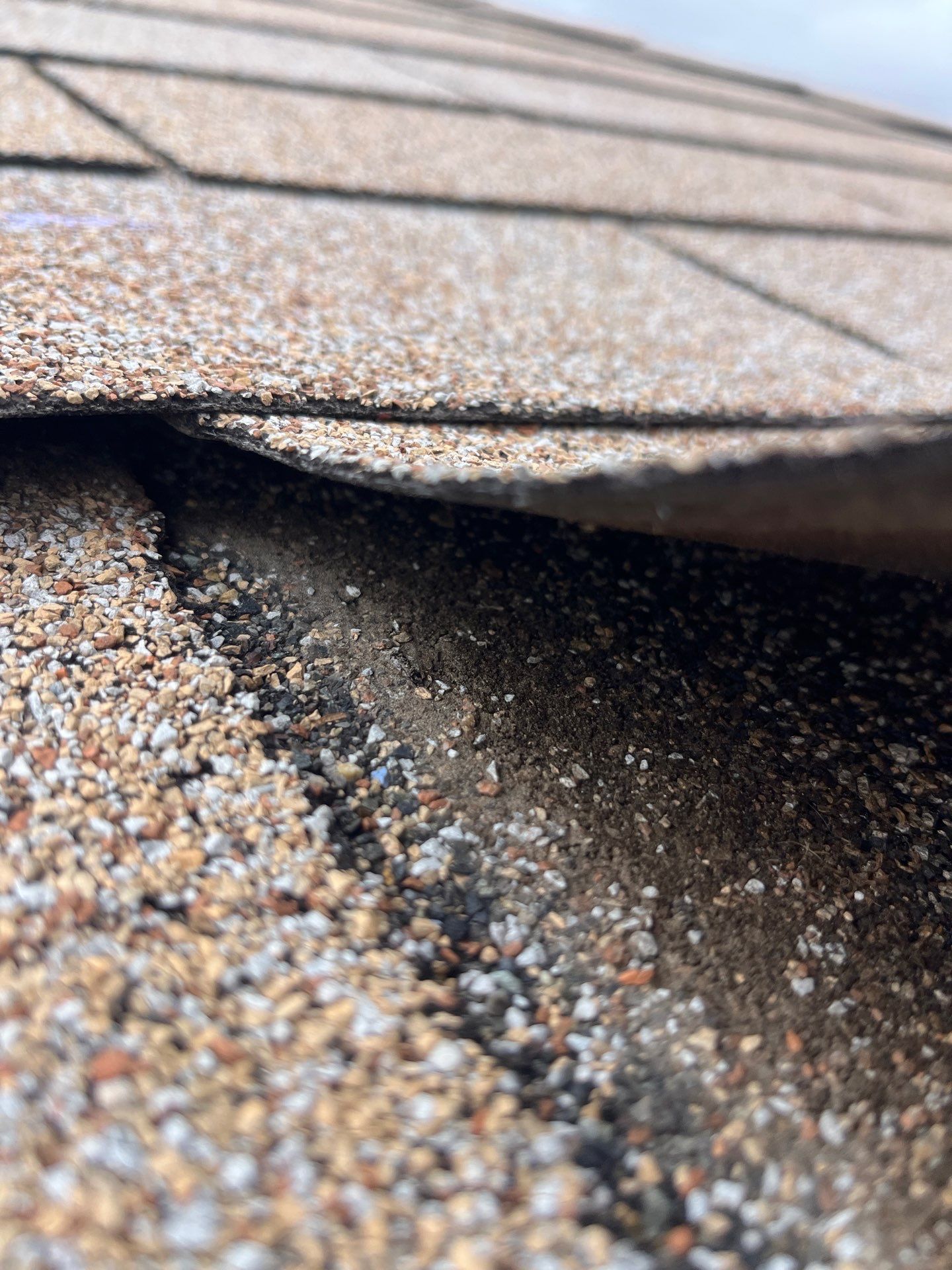 Project in Spokane by Connolly Construction Company