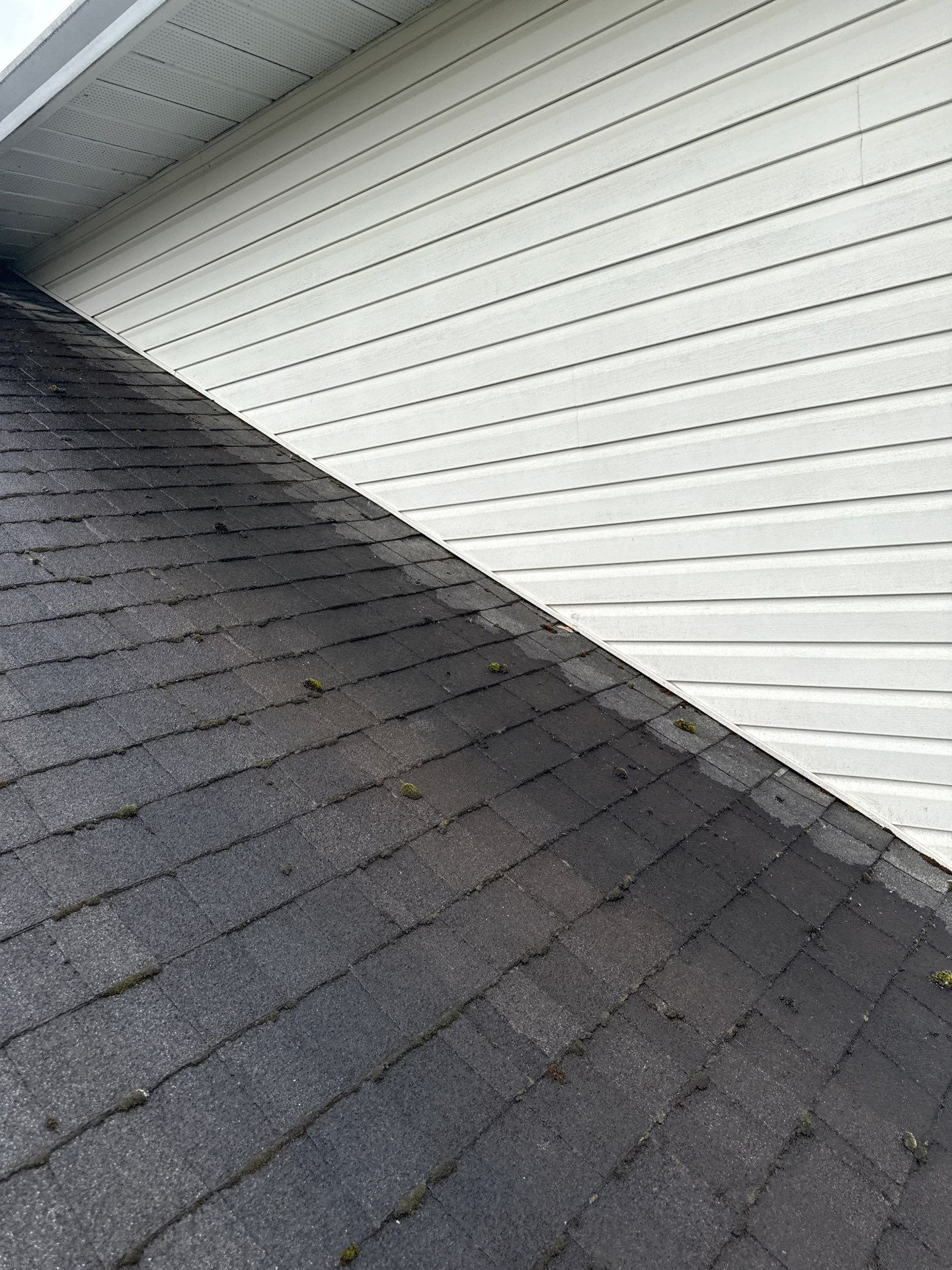 Residential Reroof Shingle by Top Notch Roofing Inc