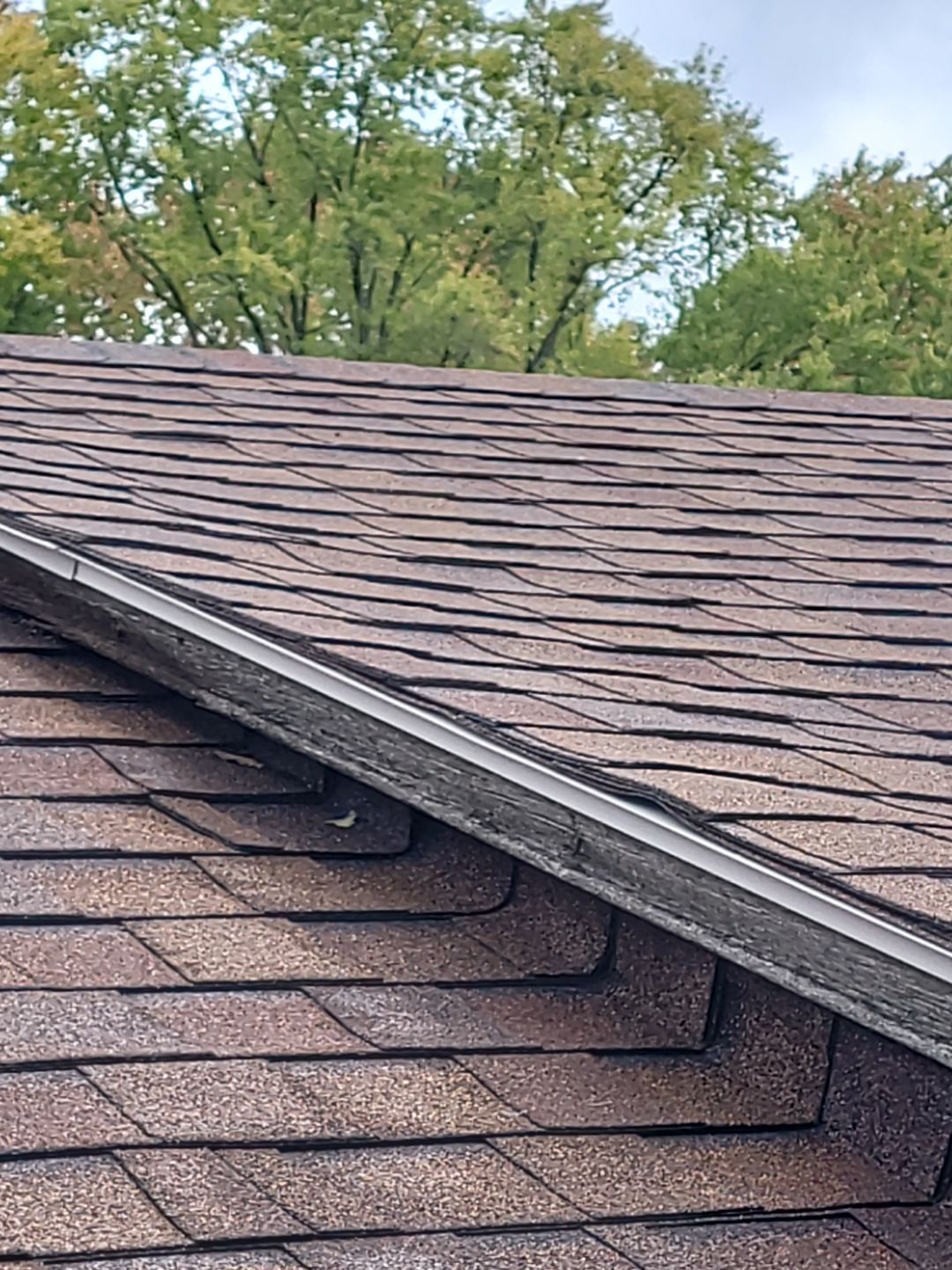 Gary Moles by Silver Leaf Contracting 