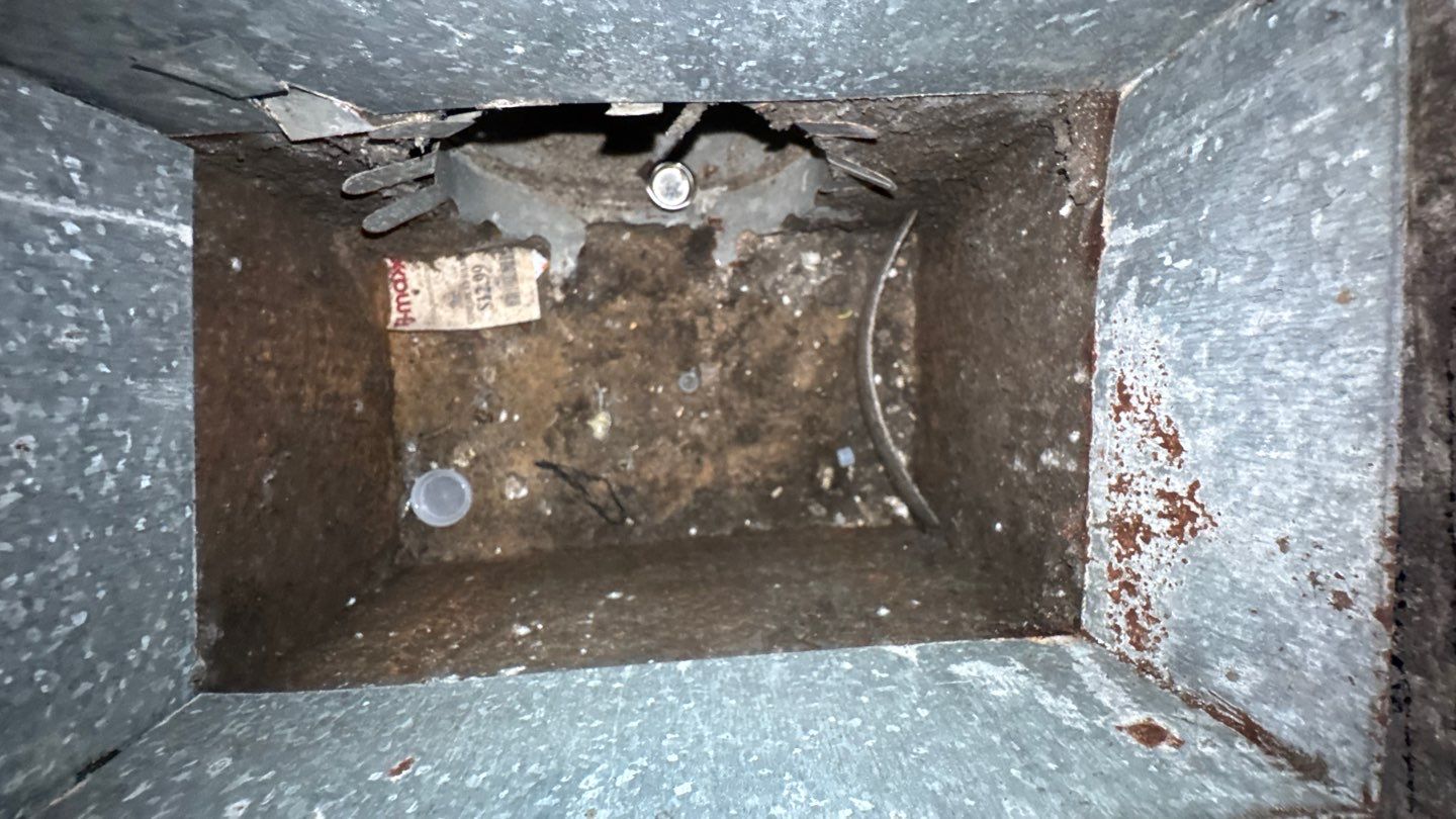 Extremely Dirty Air Duct Cleaning in Fruitland Park by Hygienic Air, Inc