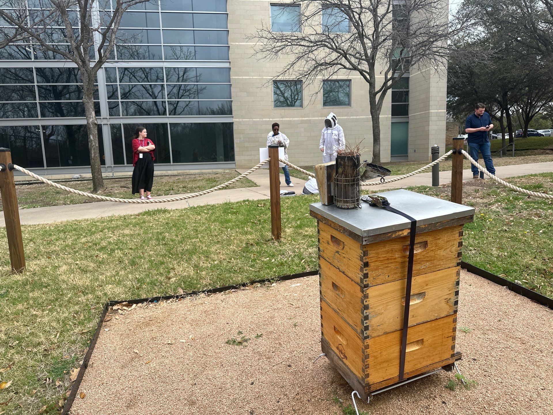 A Corp. HQ by Rockwall Honey Bee Company
