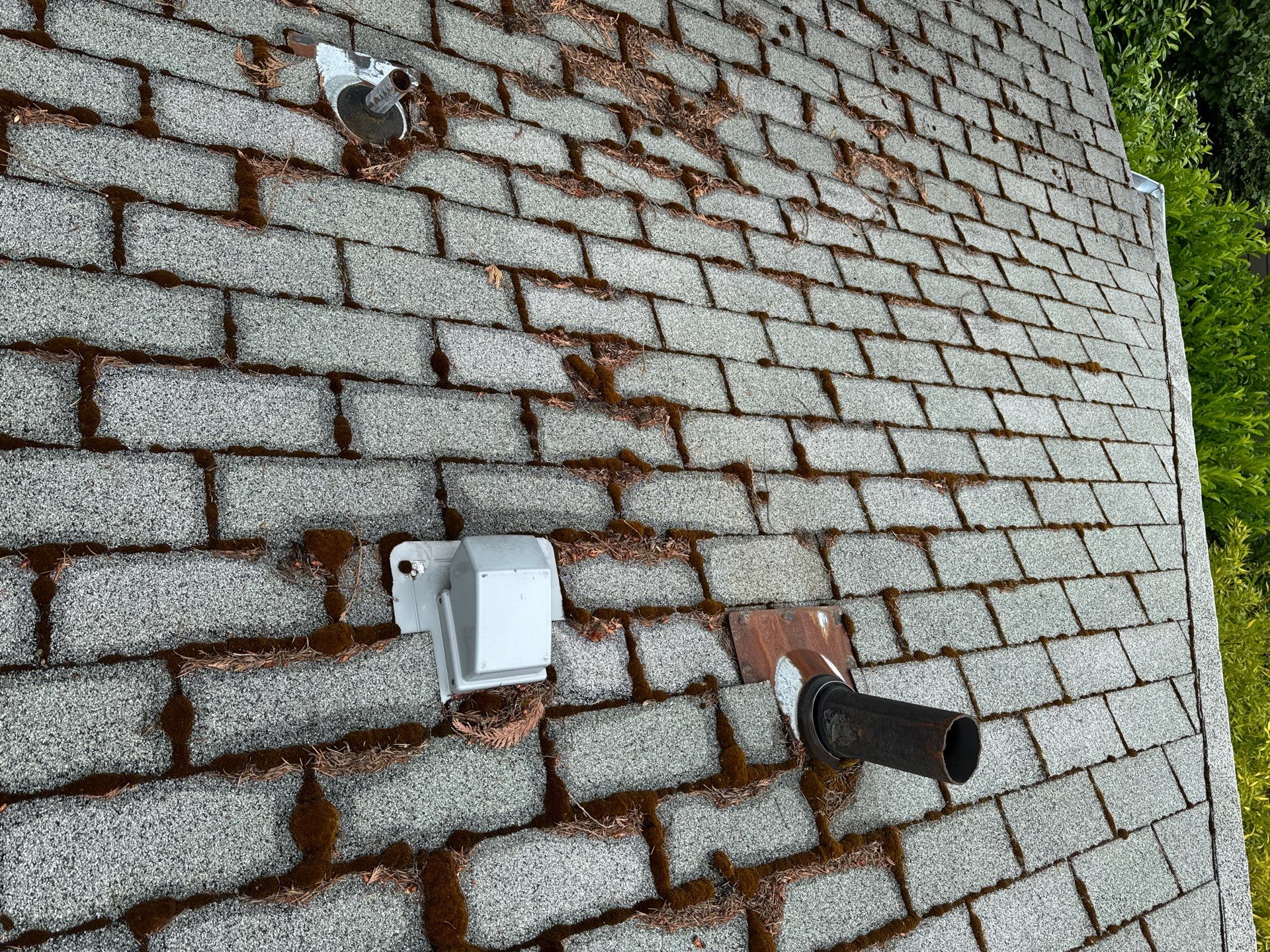 Project in Seattle by Connolly Construction Company