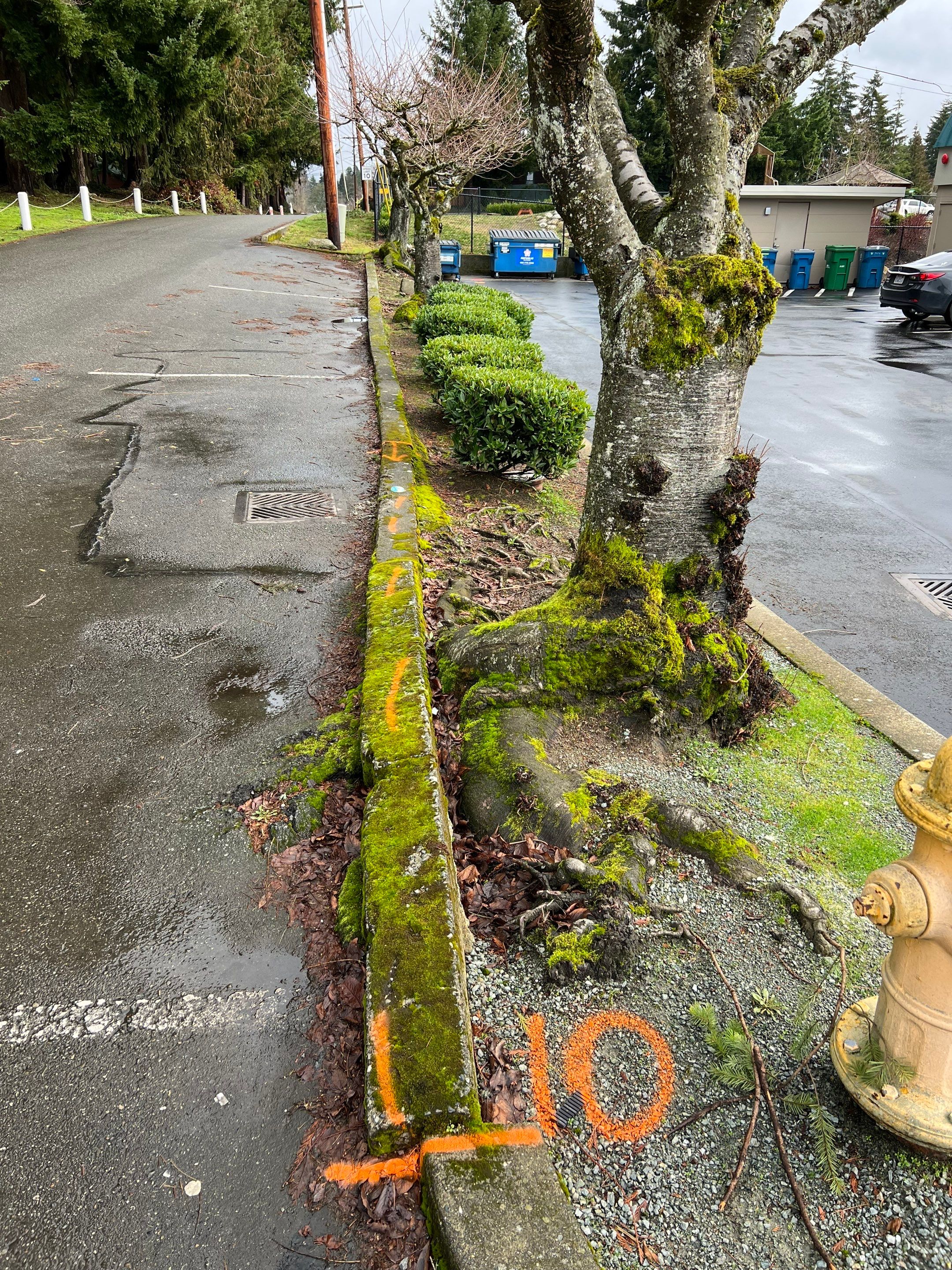 Amanda | Concrete Curb by Jireh Asphalt & Concrete Inc 