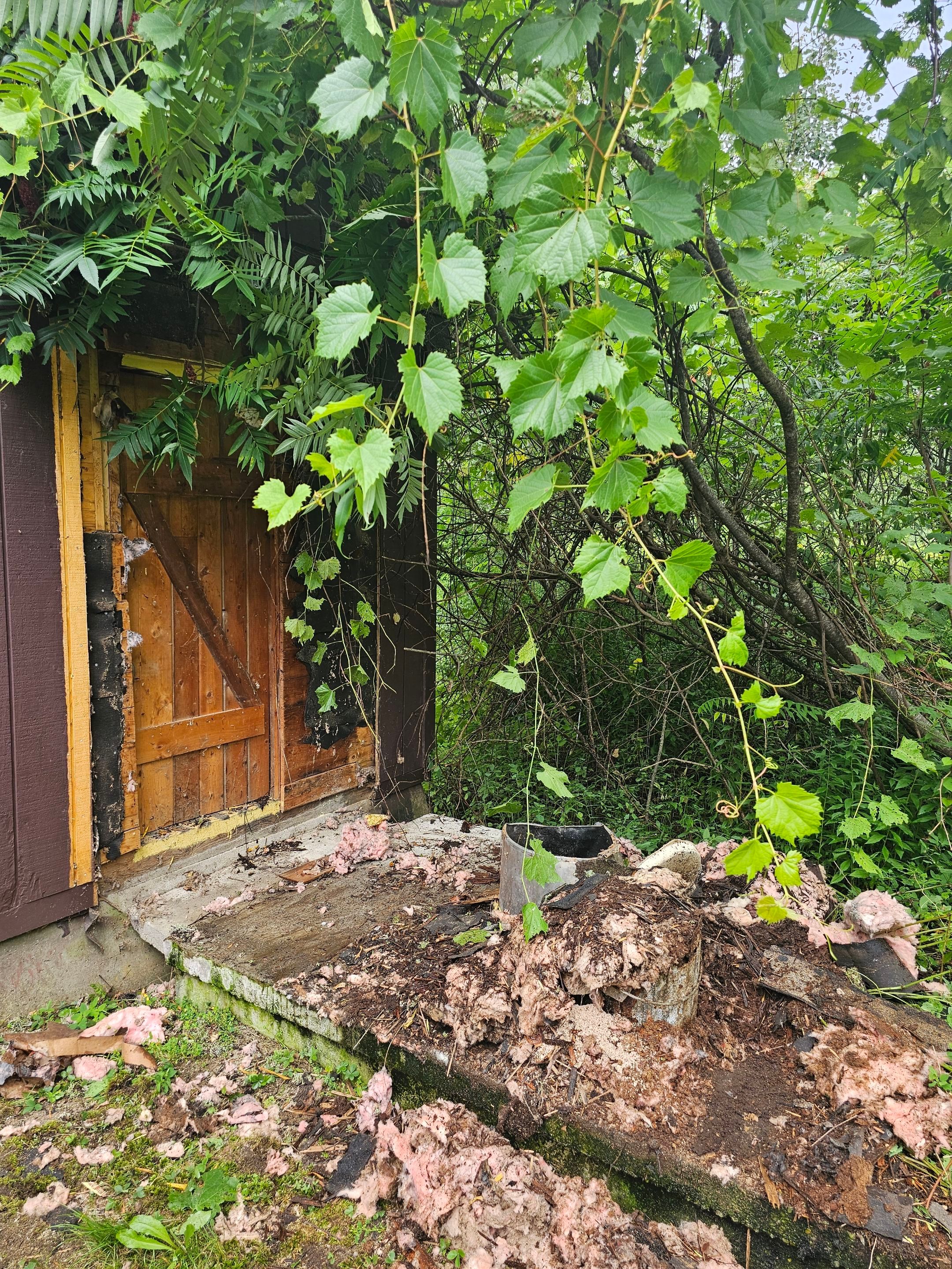 Project in Ripton by FILLMORE CONTRACTS LLC