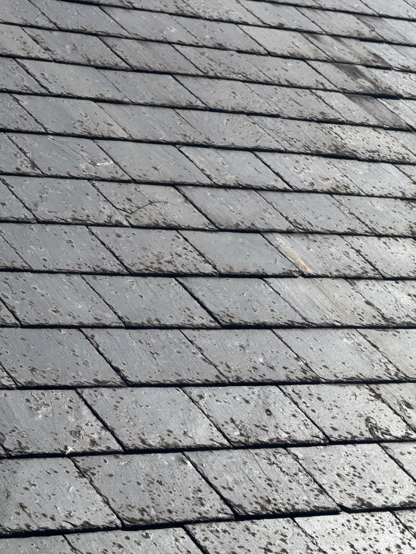 Render and Roof clean using Softwash Equipment by Ges Exterior Cleaning ltd