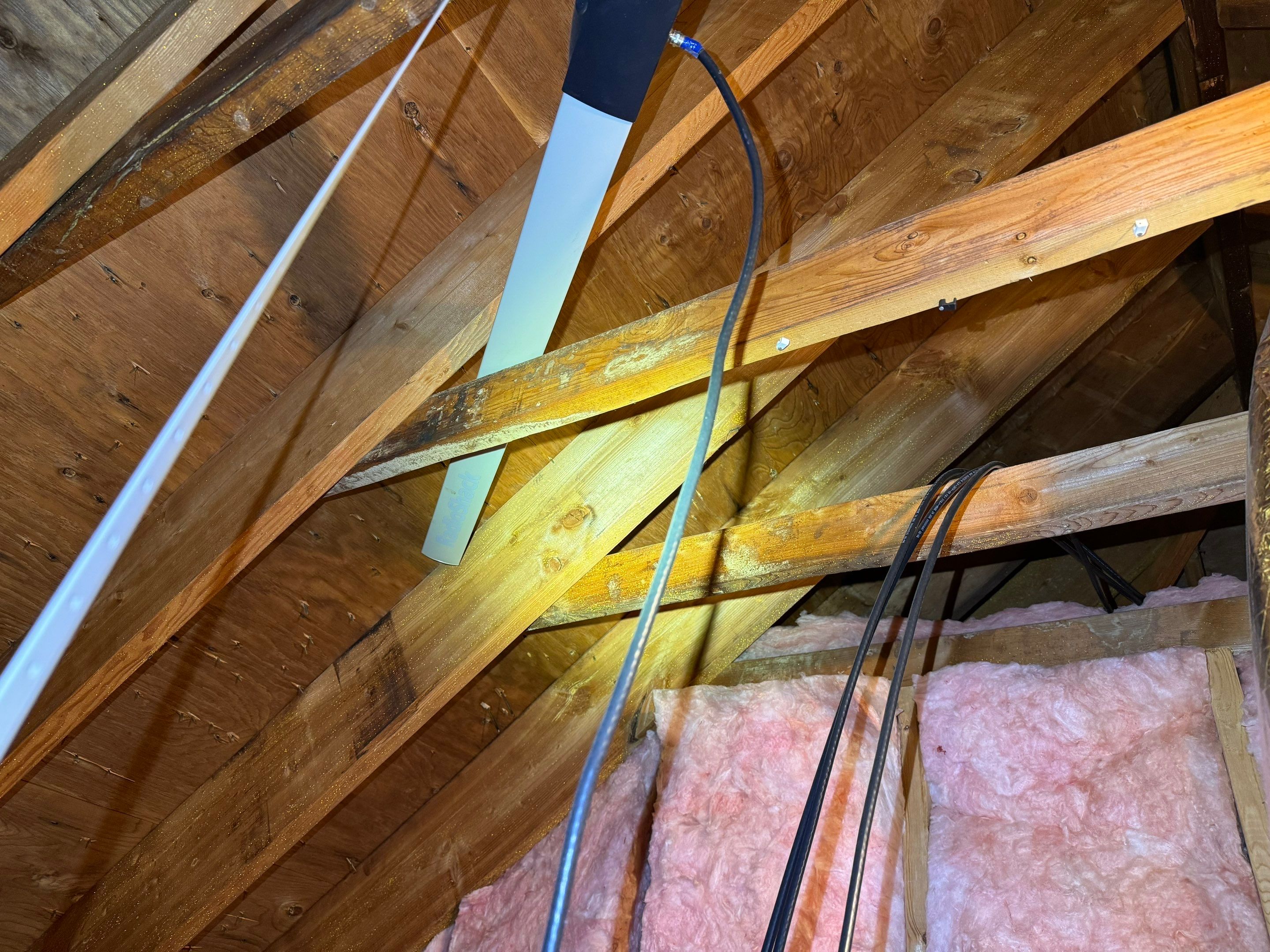 Bathroom Mold Remediation by Home Guarantee, LLC