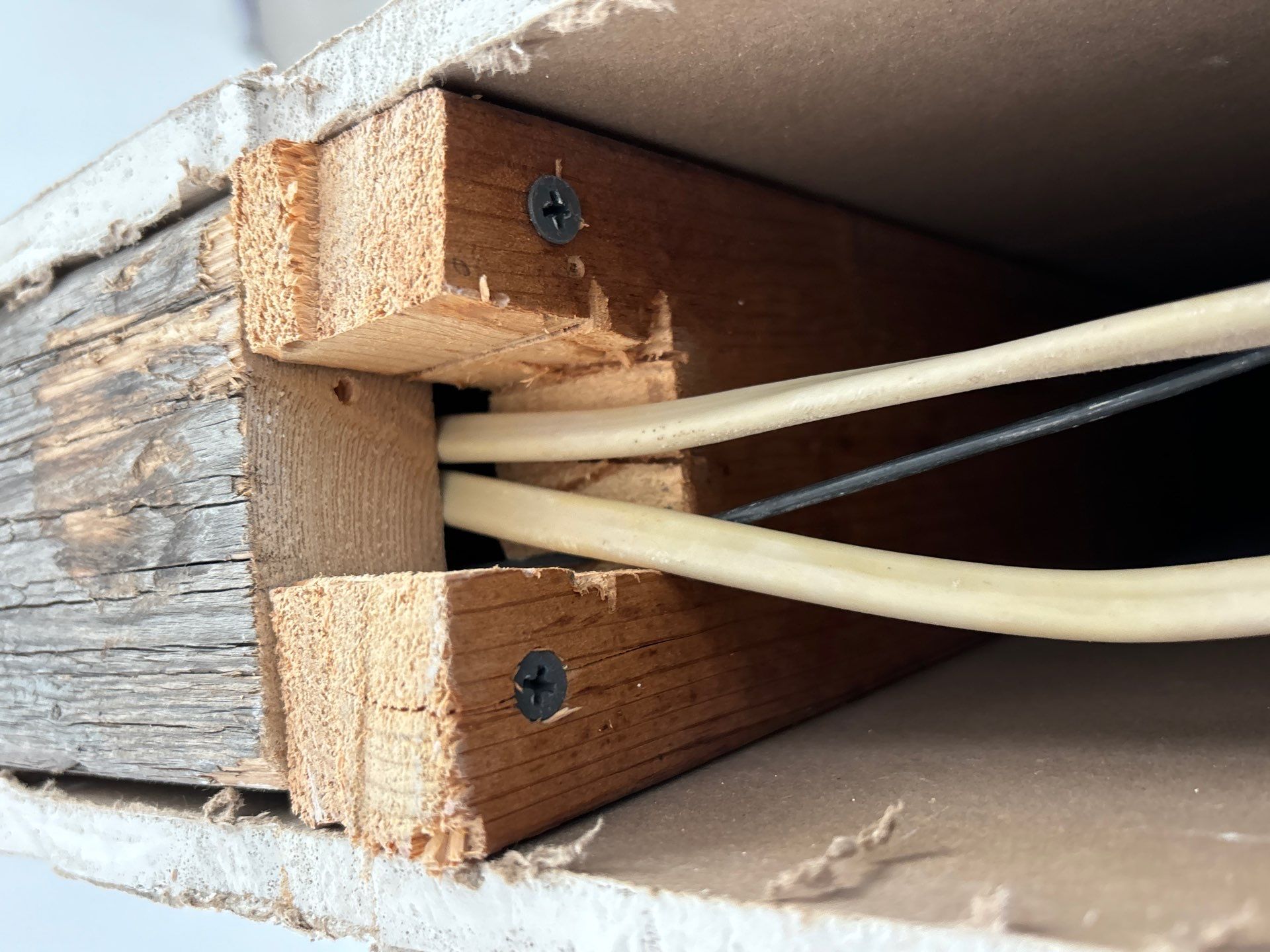 Mold Remediation + Reconstruction Bradenton by Ampm Restoration Services 