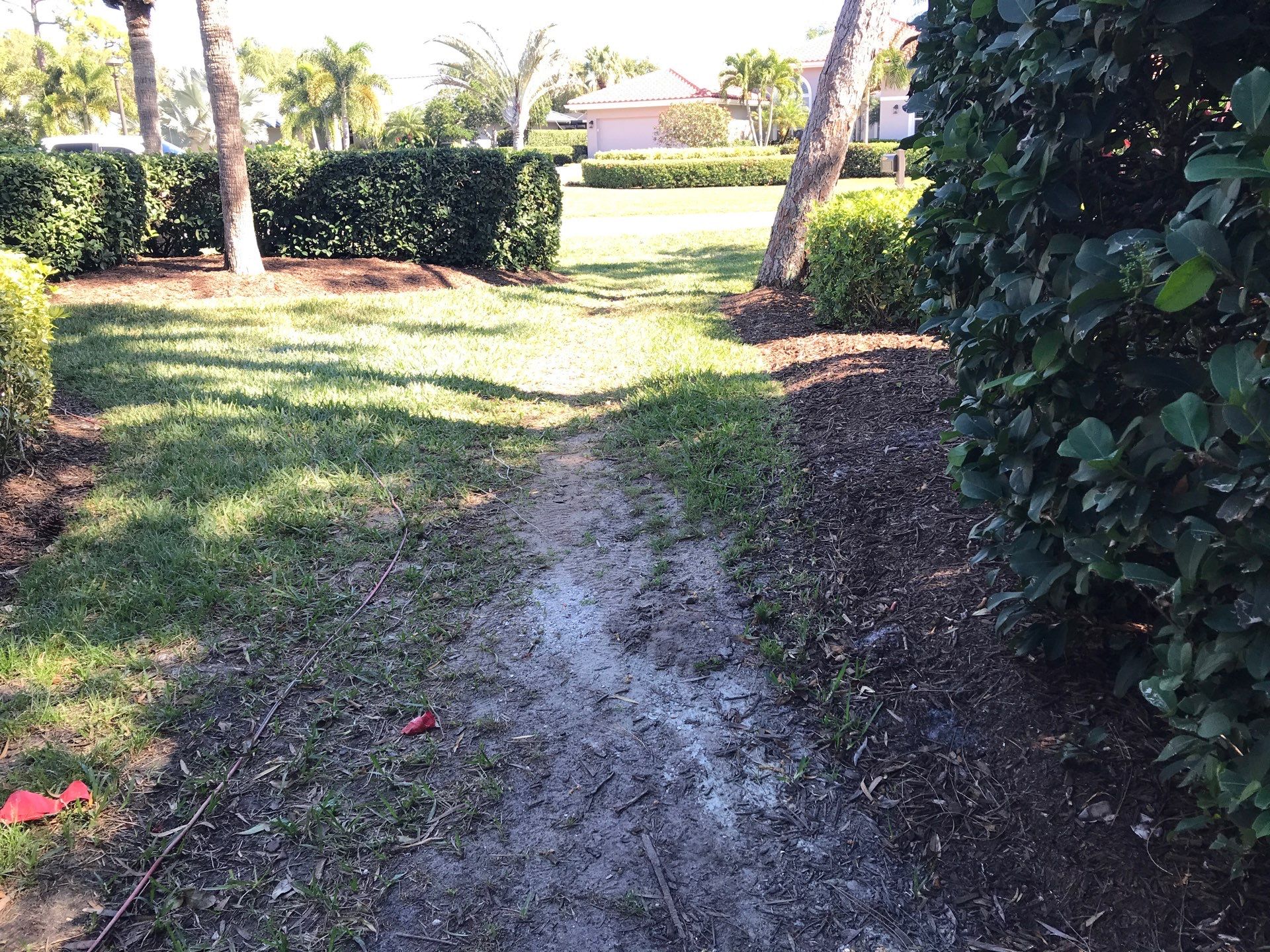 Harbour Ridge Backyard Revival by Alpha Zeta Enterprises Inc