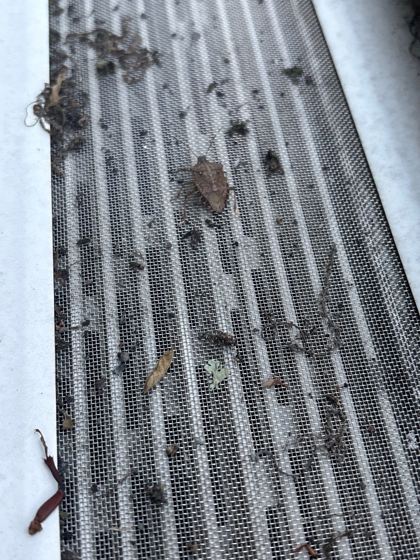 Project in Palmyra by Roof Maxx of Midlothian