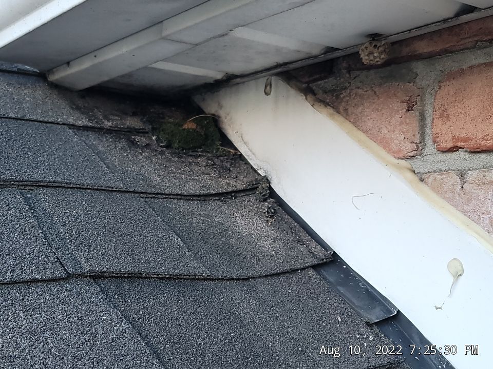 BRAND: ATLAS PINNACLE COLOR: PRISTINE SCOTCHGARD TAN DRIP EDGE: MUSKET BROWN by Eagle Eye Roofing