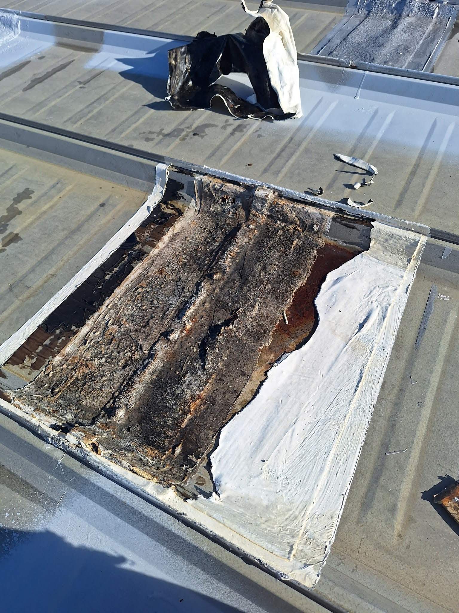 17,576 Sq Ft - Standing Seam Coated in Naples, FL by Southern Roof Solutions