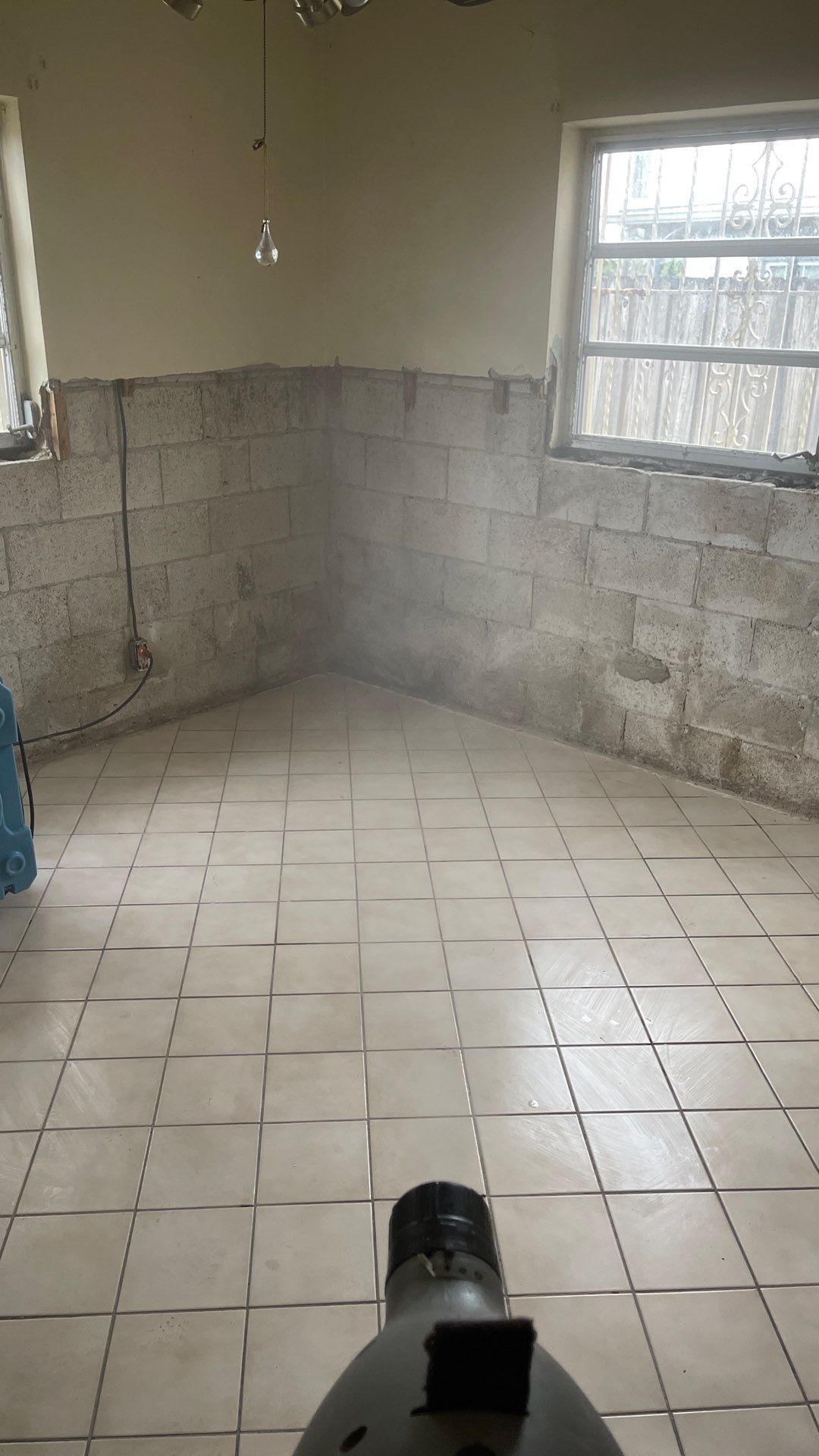 Mold Remediation  by THE RAPID TEAM