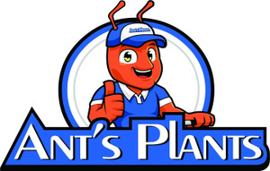 Ants Plants