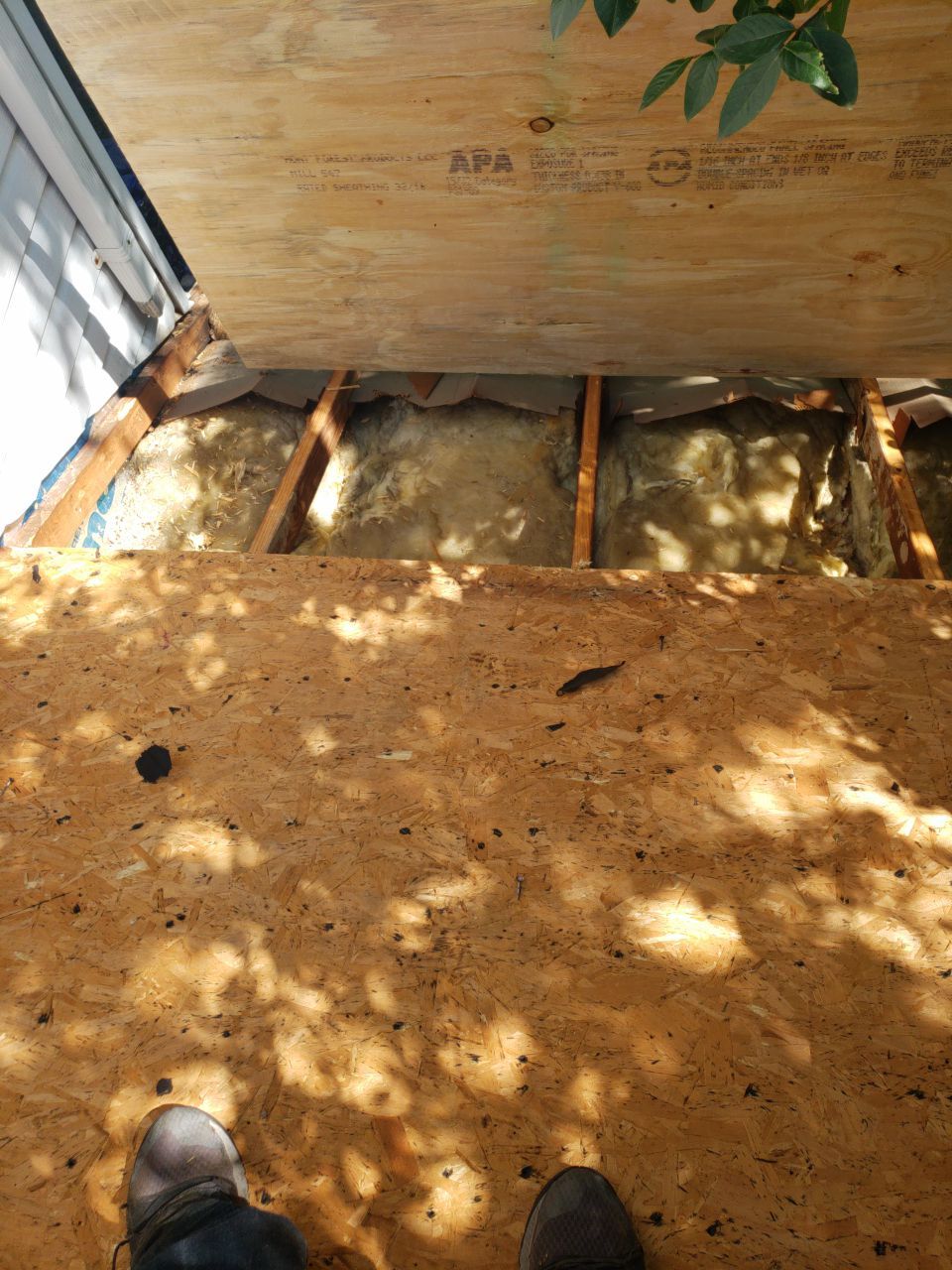 Alexandria: CertainTeed Landmark Pro Designer Shingles in Max Def Colonial Slate by RM Banning, Inc.